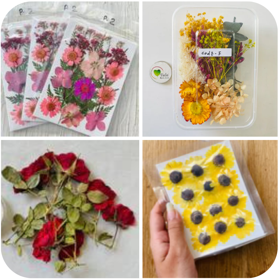 Buy Dry flowers for resin art Tulsiresin Tulsi Resin Store