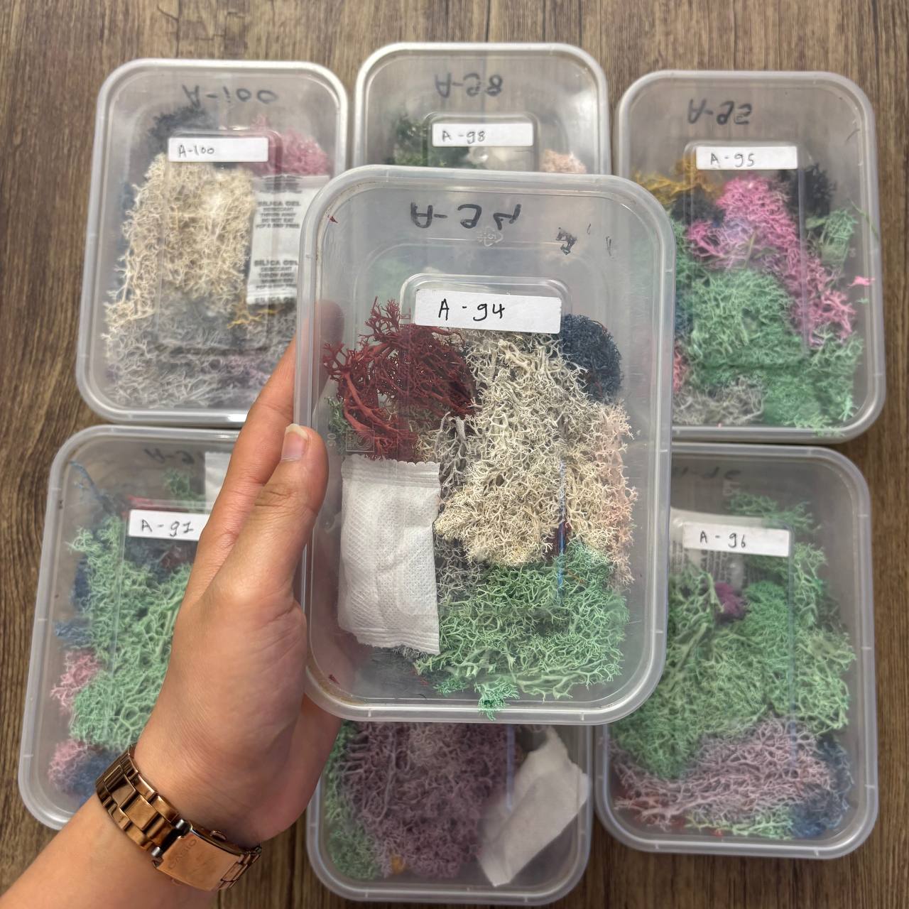 Random Sea Grass Box