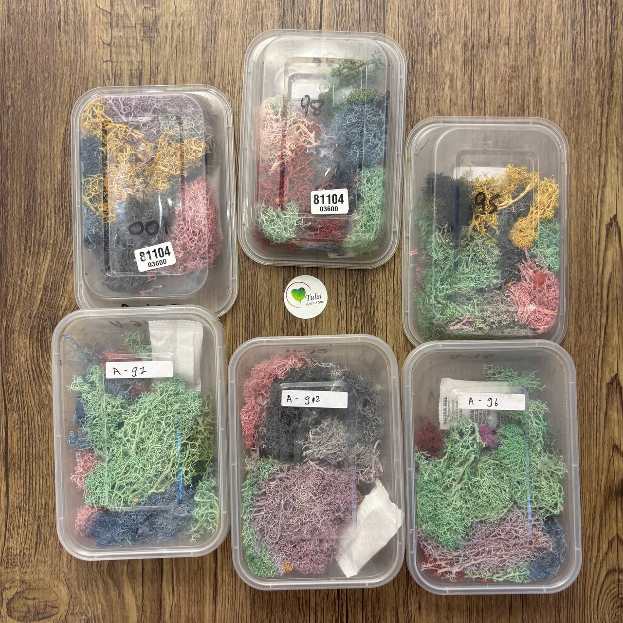 Random Sea Grass Box