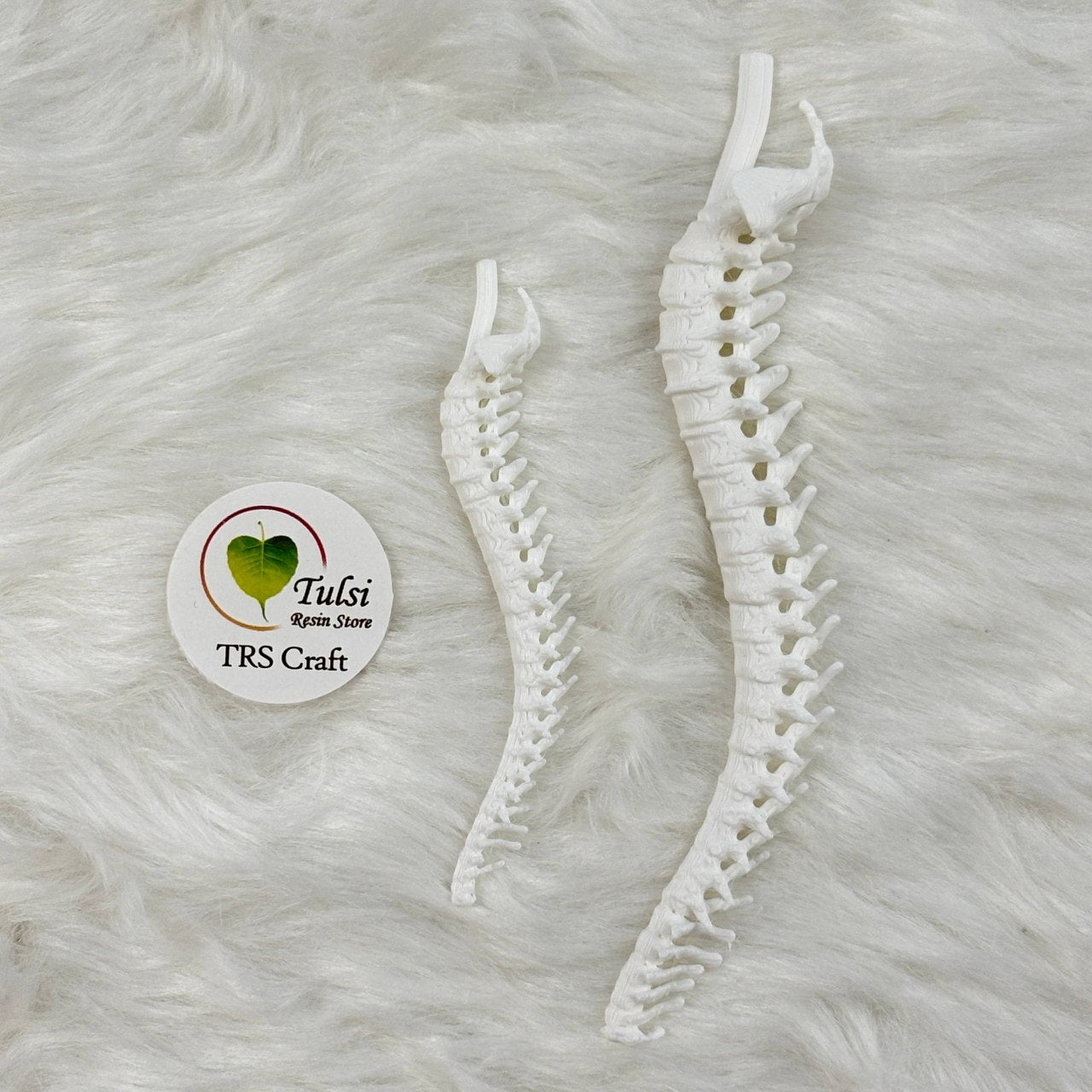 3D Miniature (A28) - Spinal Cord Tulsi Resin Store