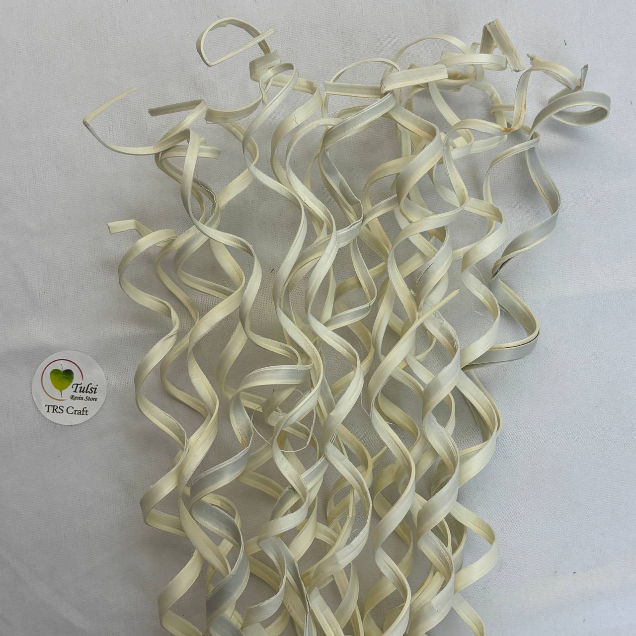 Dried Curly Palm Open Stem (5 Sticks)