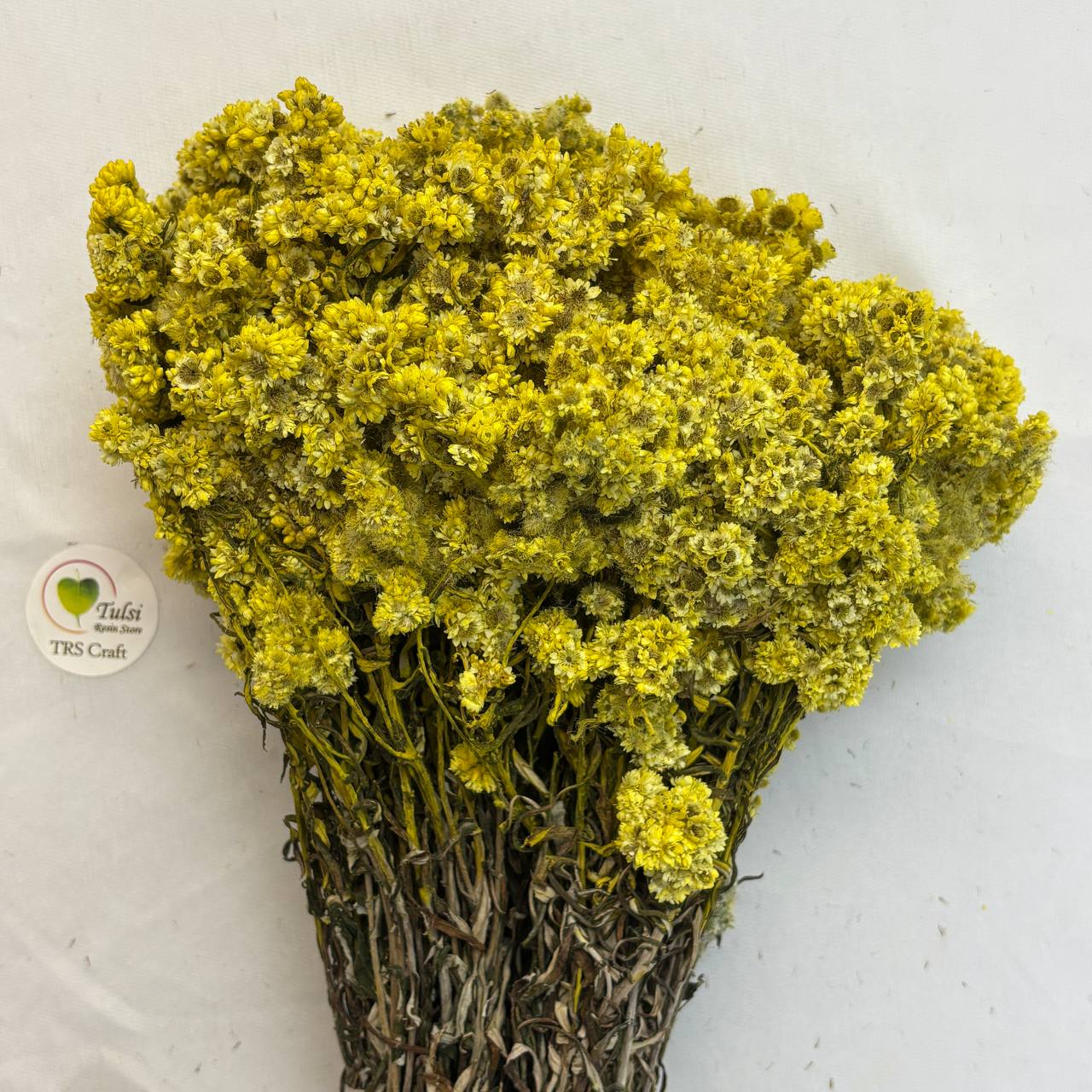 Wild Daisy Dry Flower Box - (B)