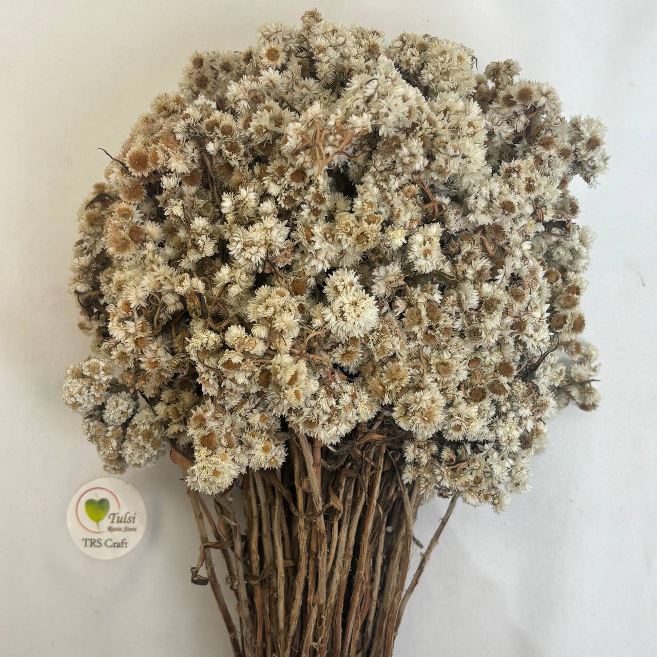 Wild Daisy Dry Flower Box - (A)