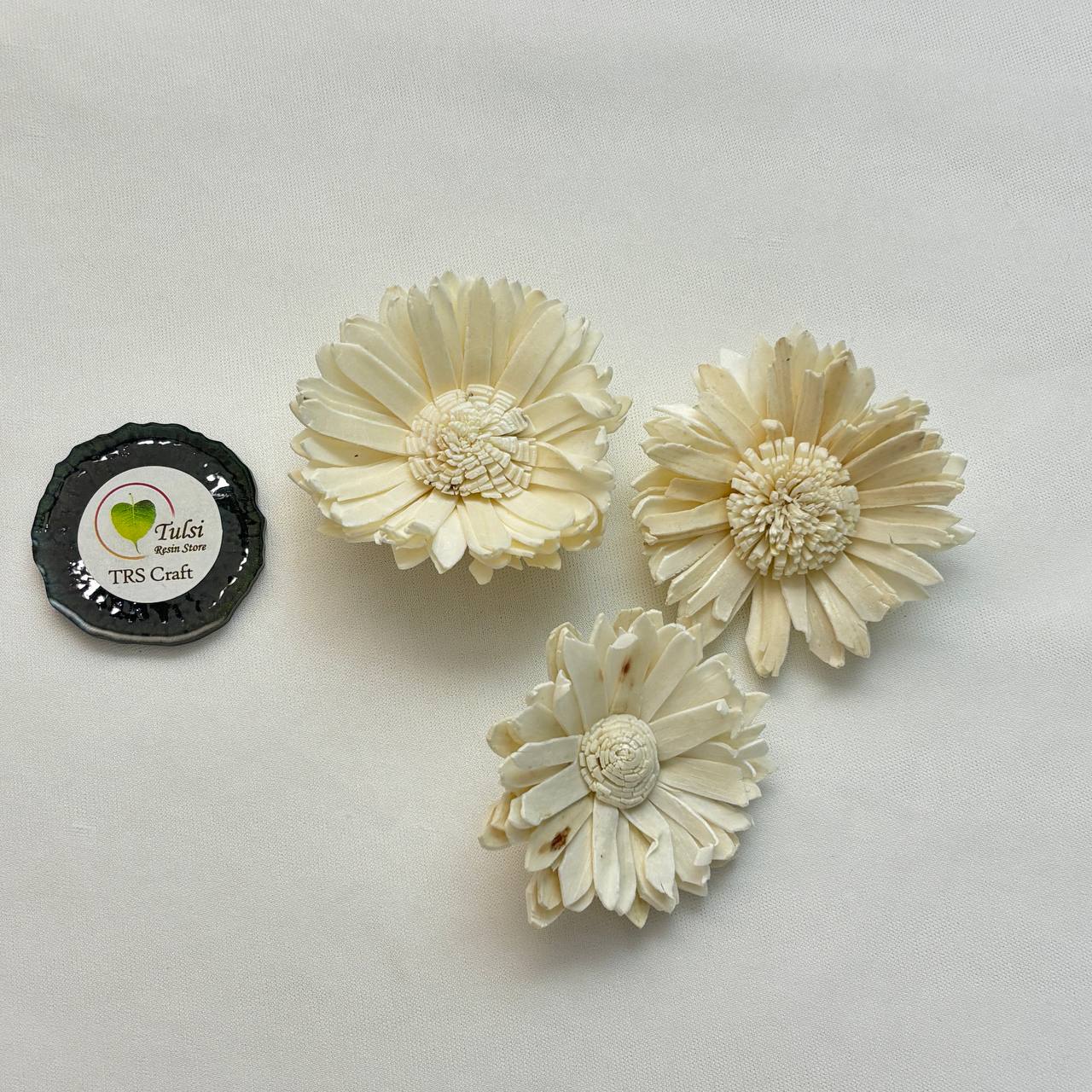 Solawood Flowers - Sunflower (5 Pcs)