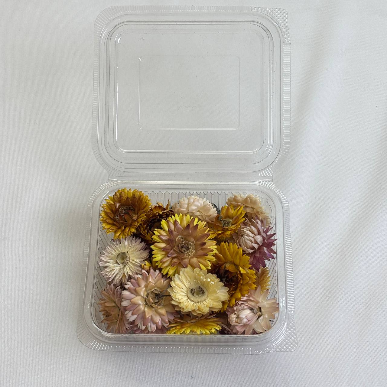 3D Dry Flower box