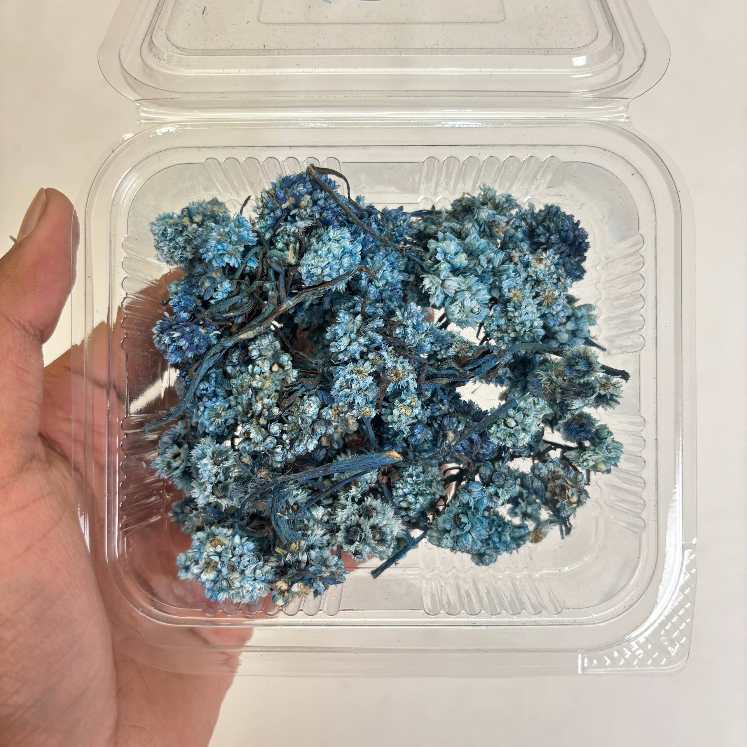 Wild Daisy Dry Flower Box - (E)