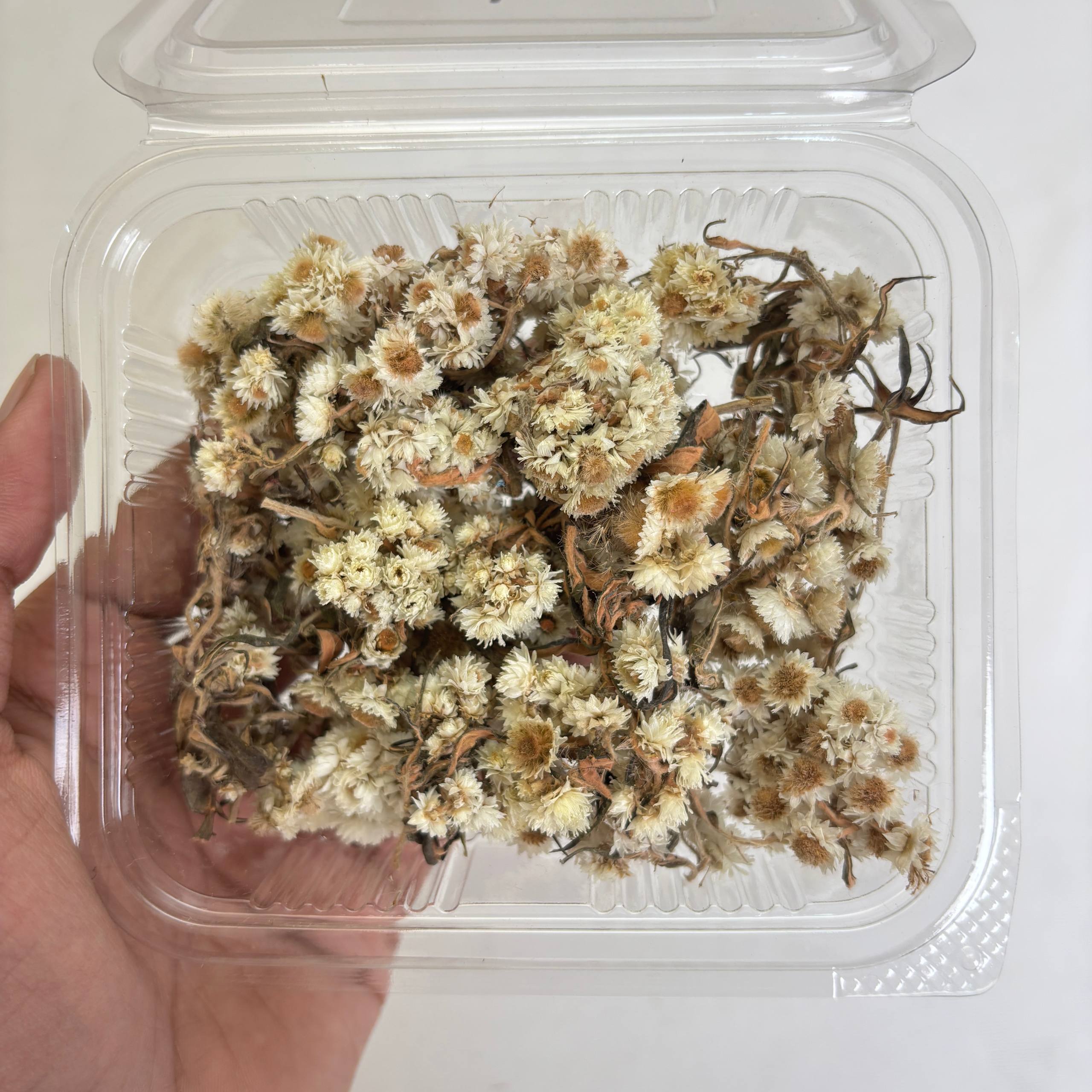 Wild Daisy Dry Flower Box - (A)