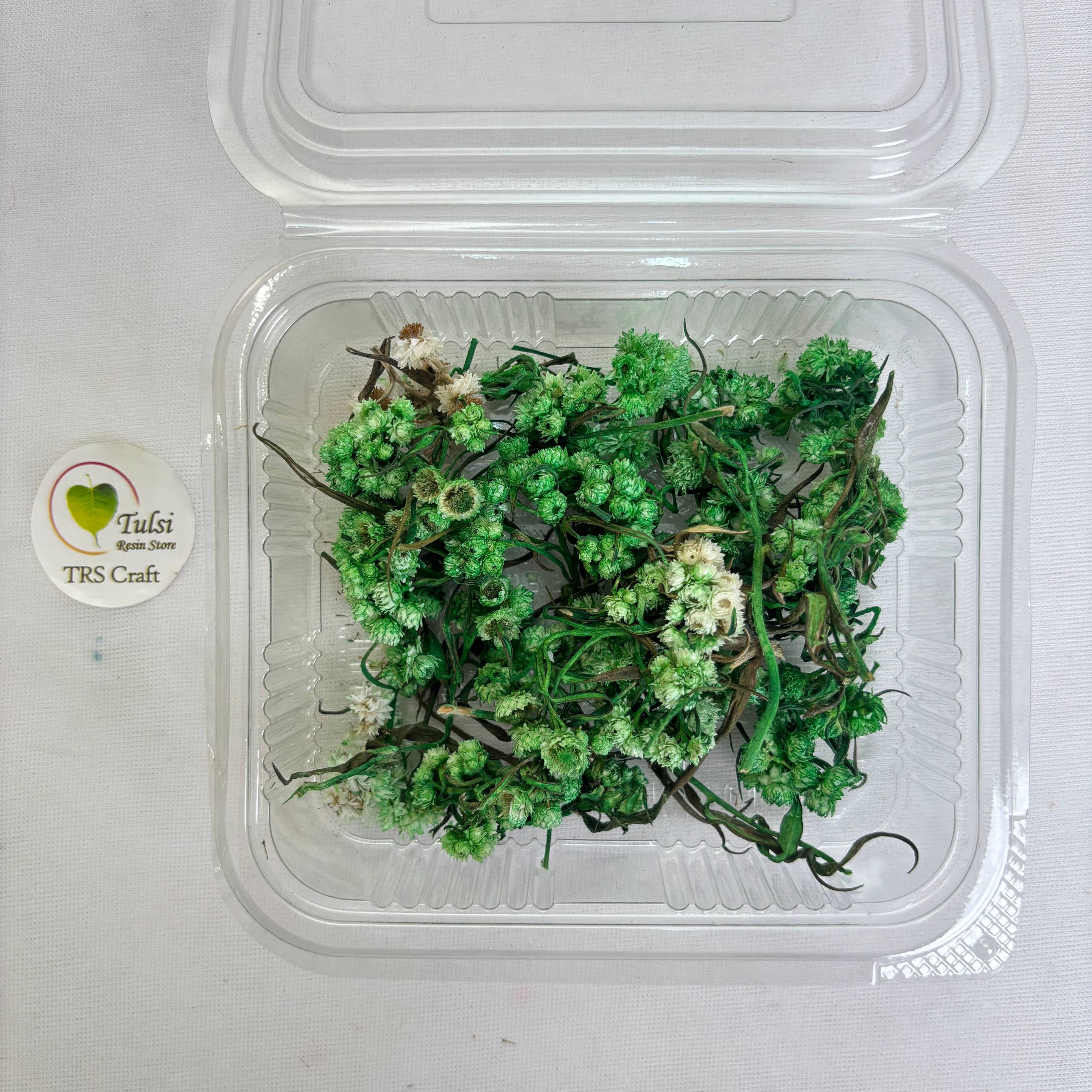 Wild Daisy Dry Flower Box - (H)