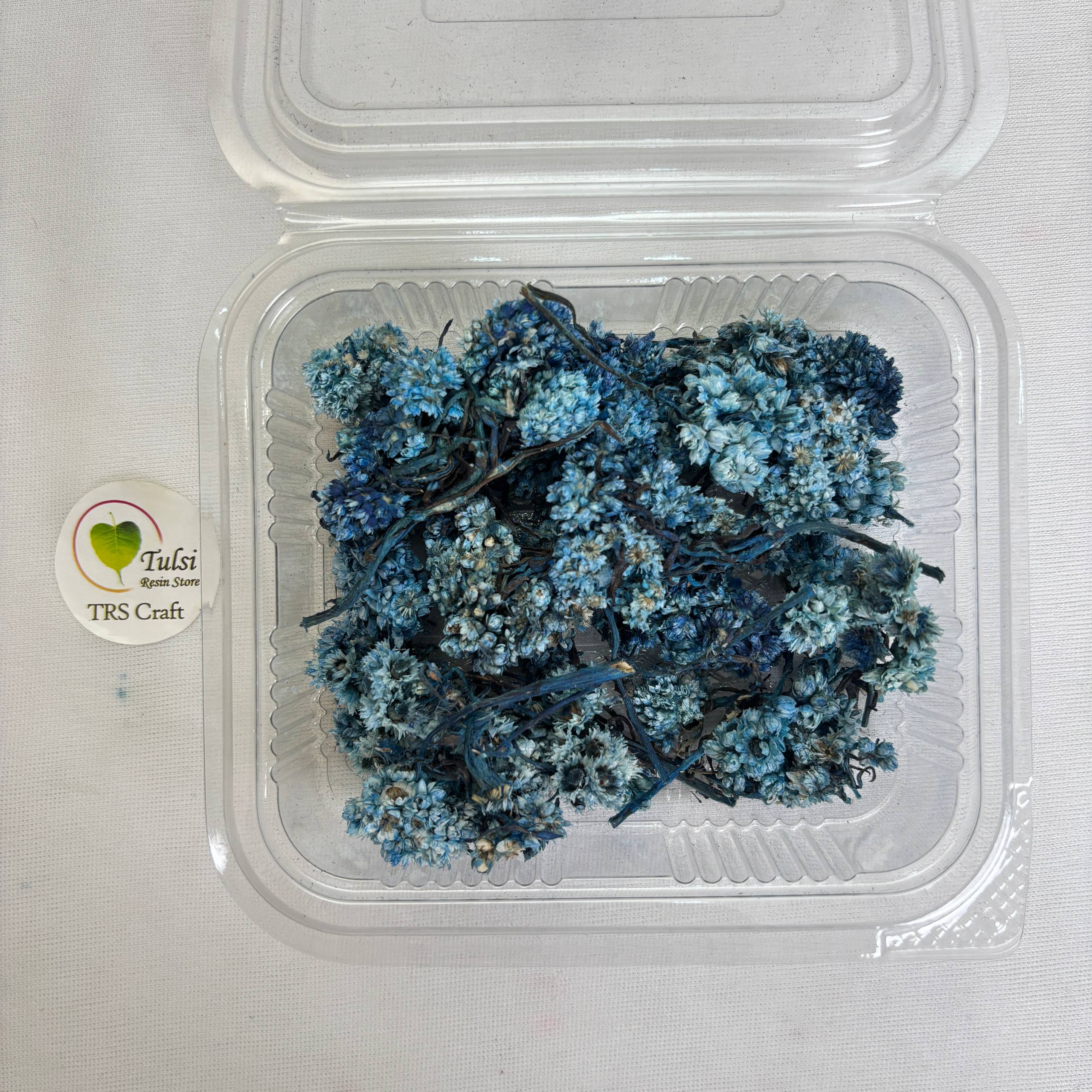 Wild Daisy Dry Flower Box - (E)