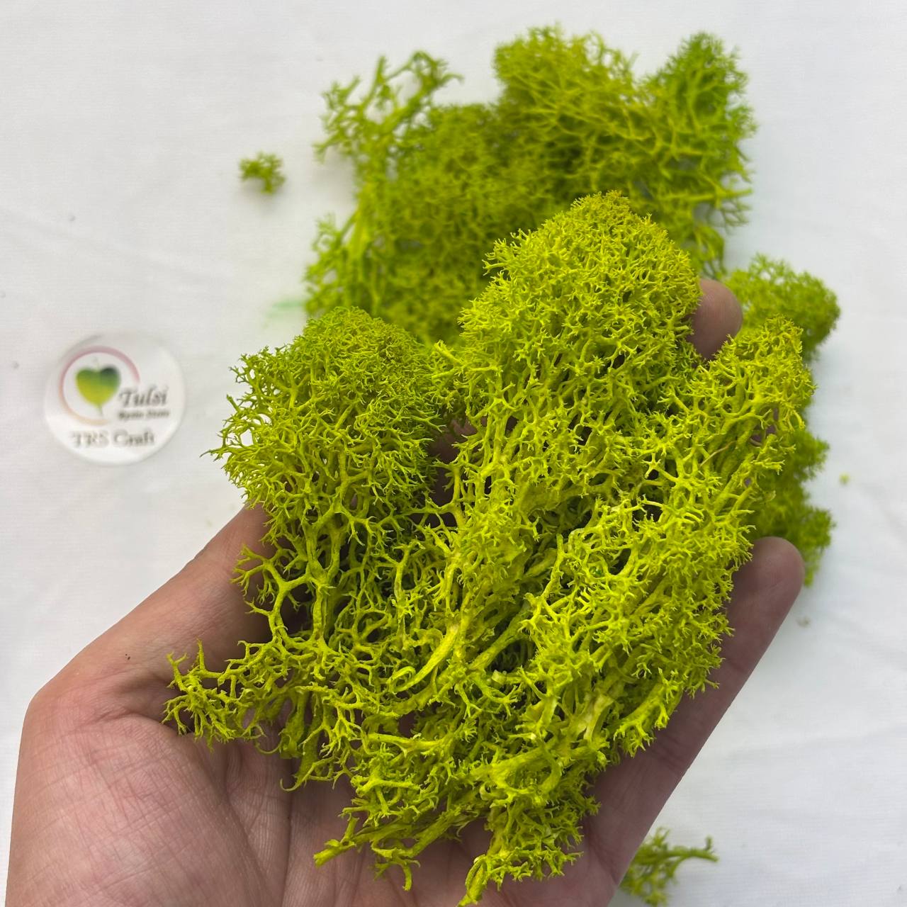 صندوق عشب البحر العشوائي
