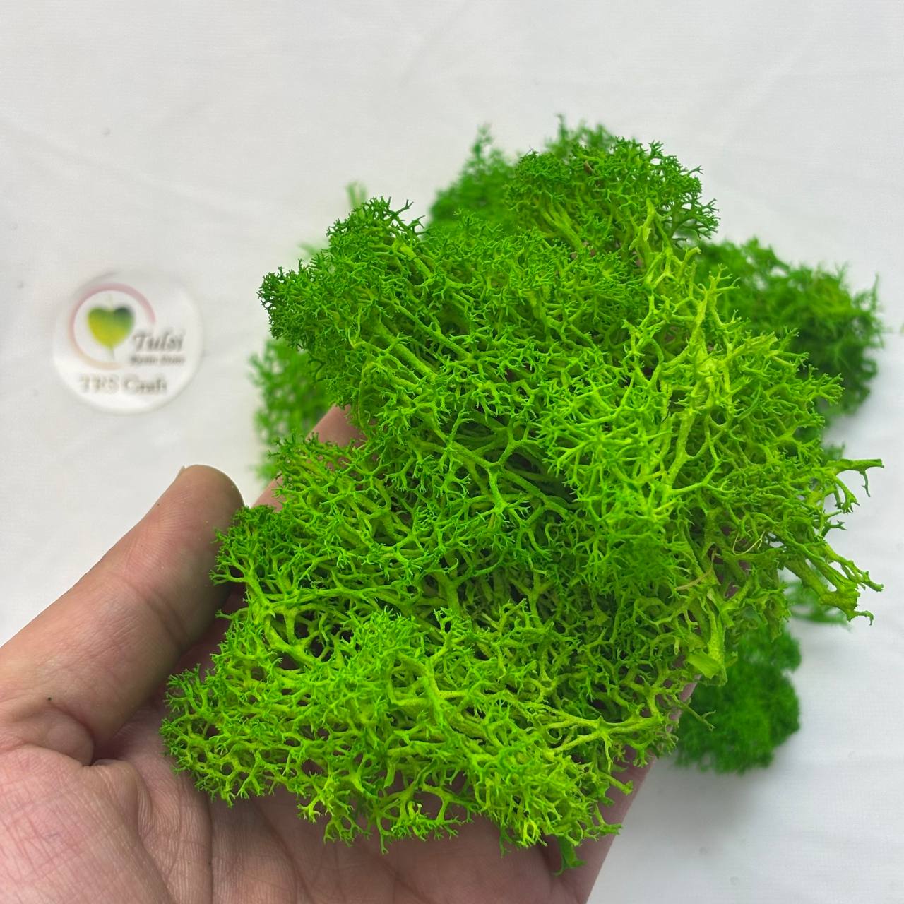 Random Sea Grass Box
