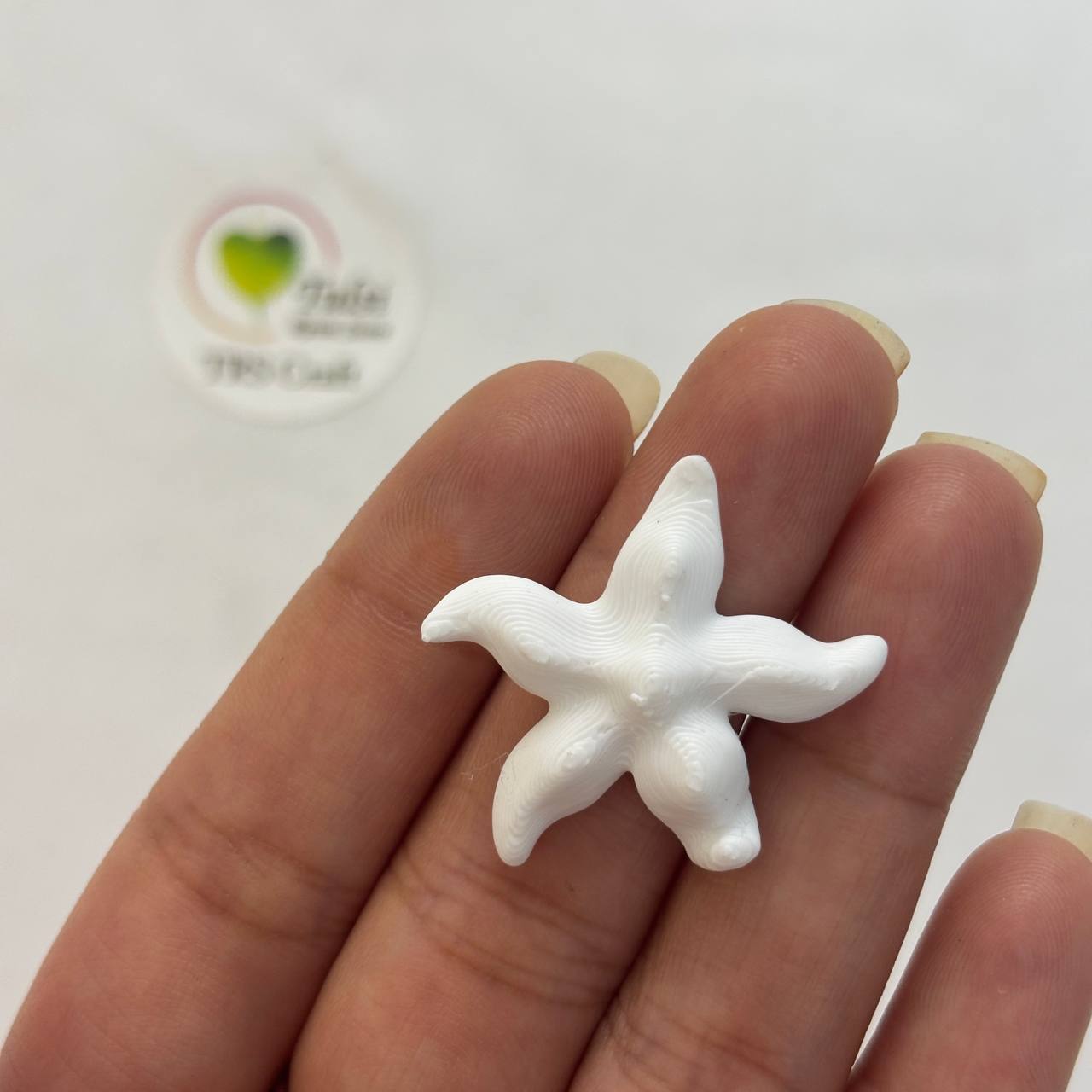 3D Miniature (A08) - Starfish