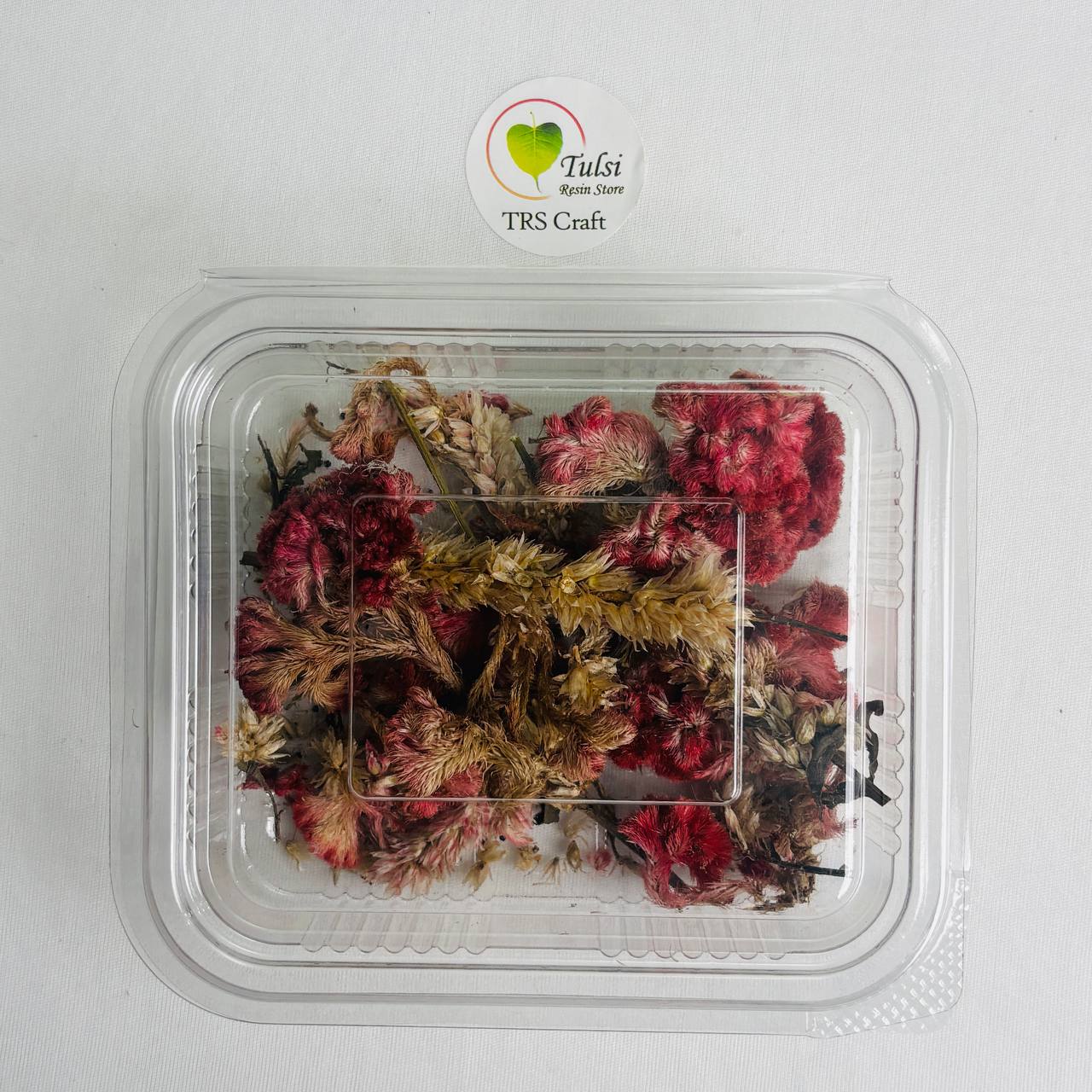 Celosia Dry Flower Box