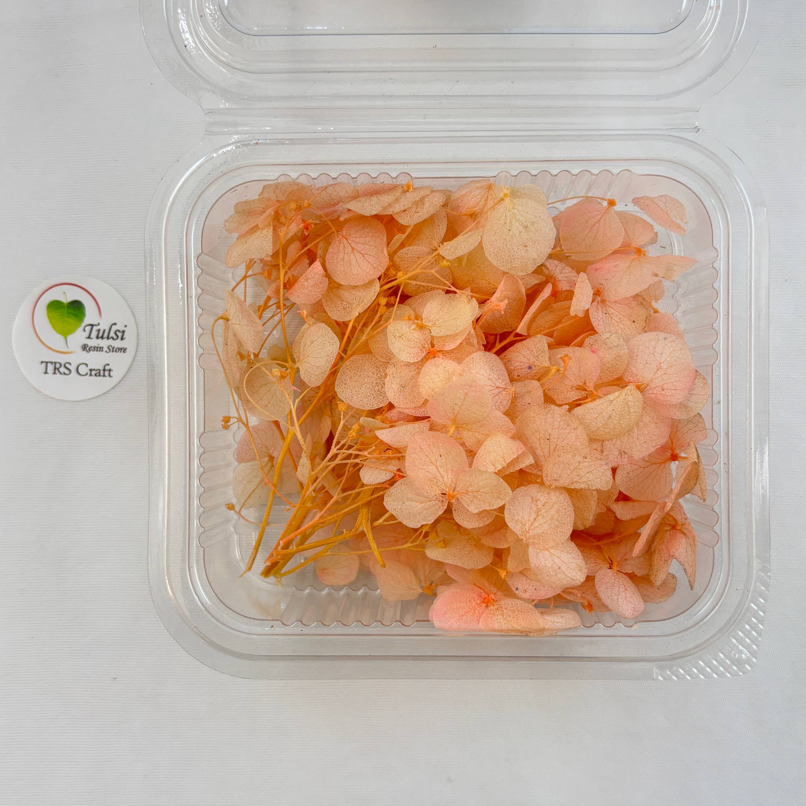 Hydrangea Dry Flower Box - (K)