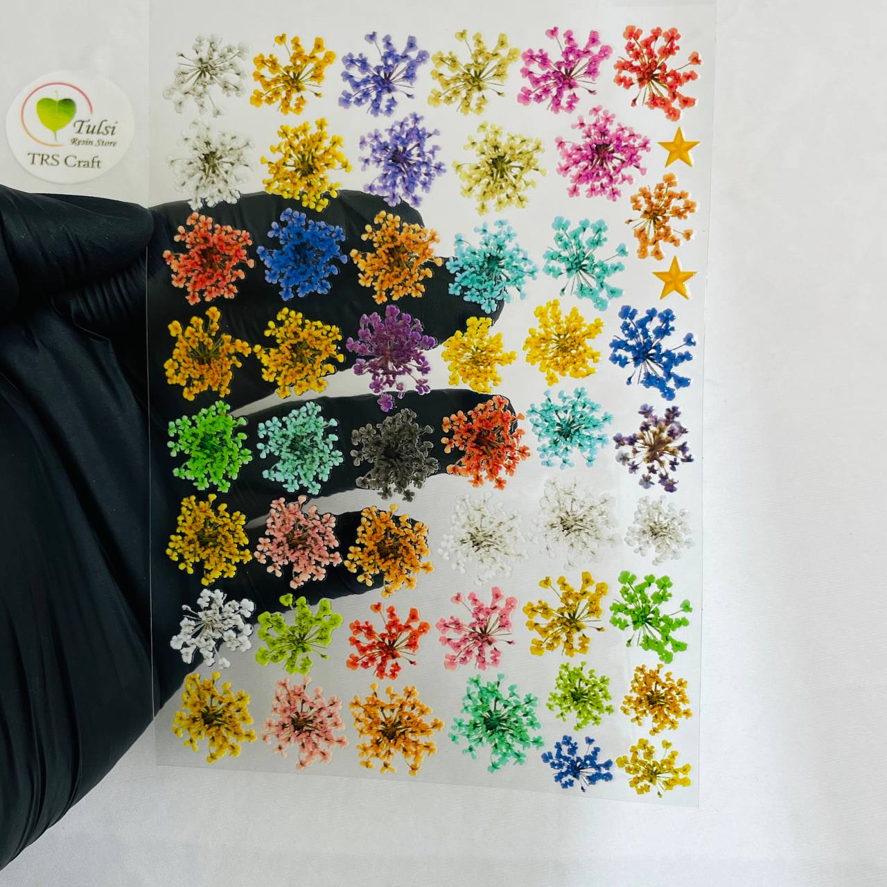 A6 UV DTF Sticker - Floral (R)