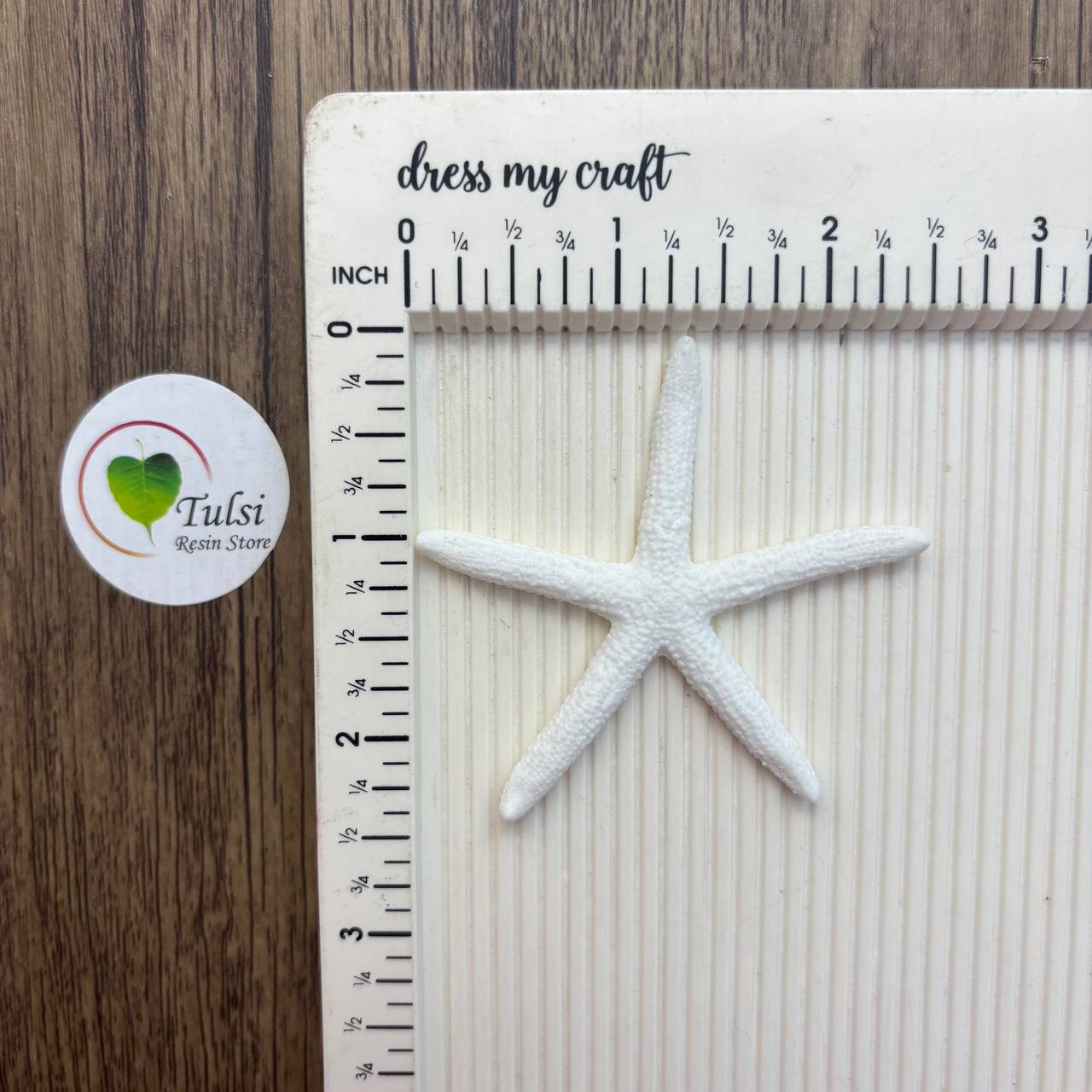 Resin Starfish (B) - Medium