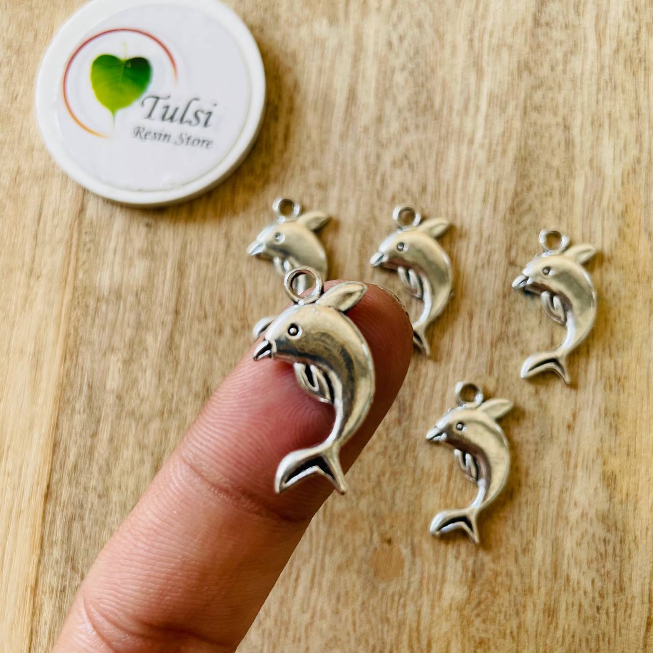 Silver Charm - Dolphin (5pc)