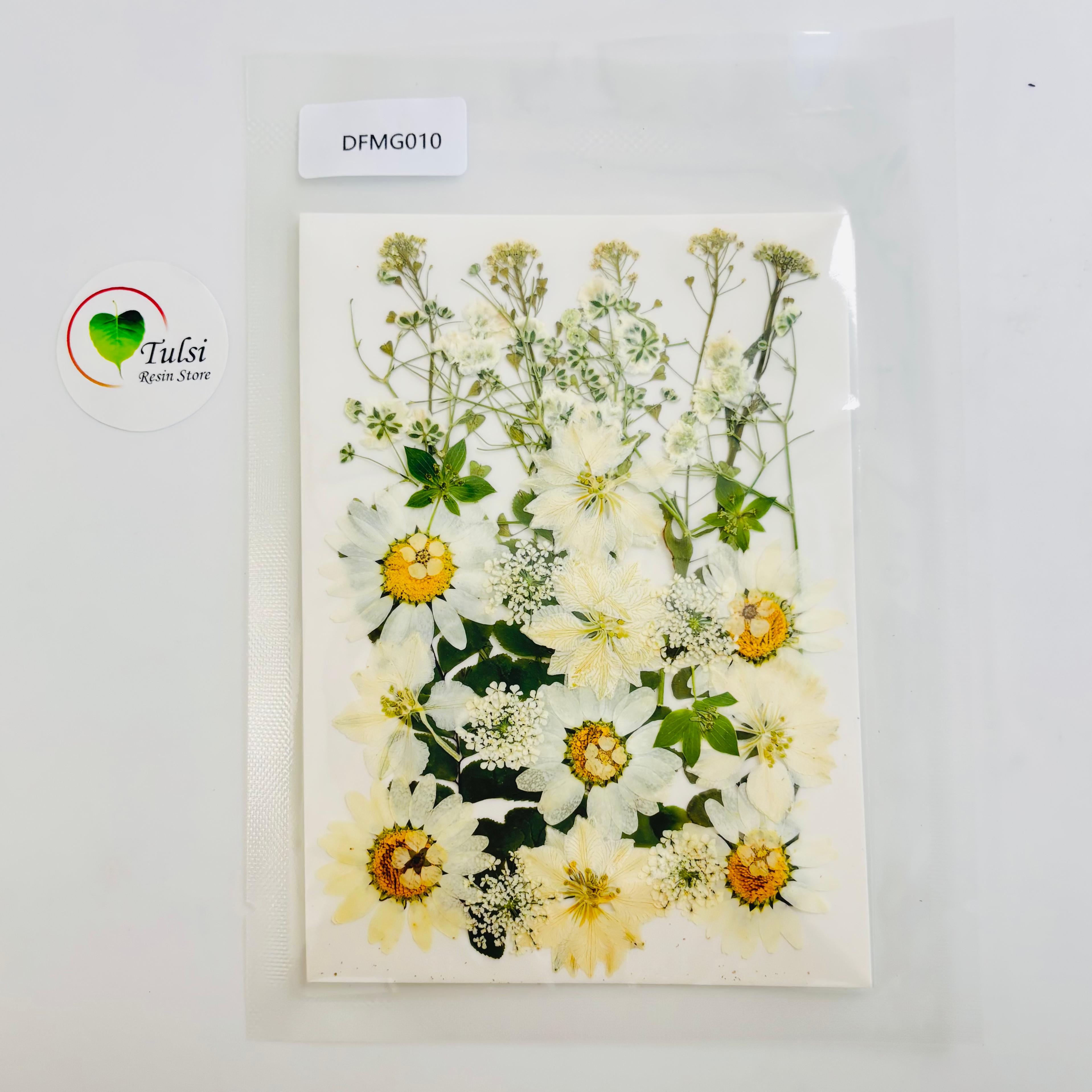 Pressed Flower Sheet Code - D
