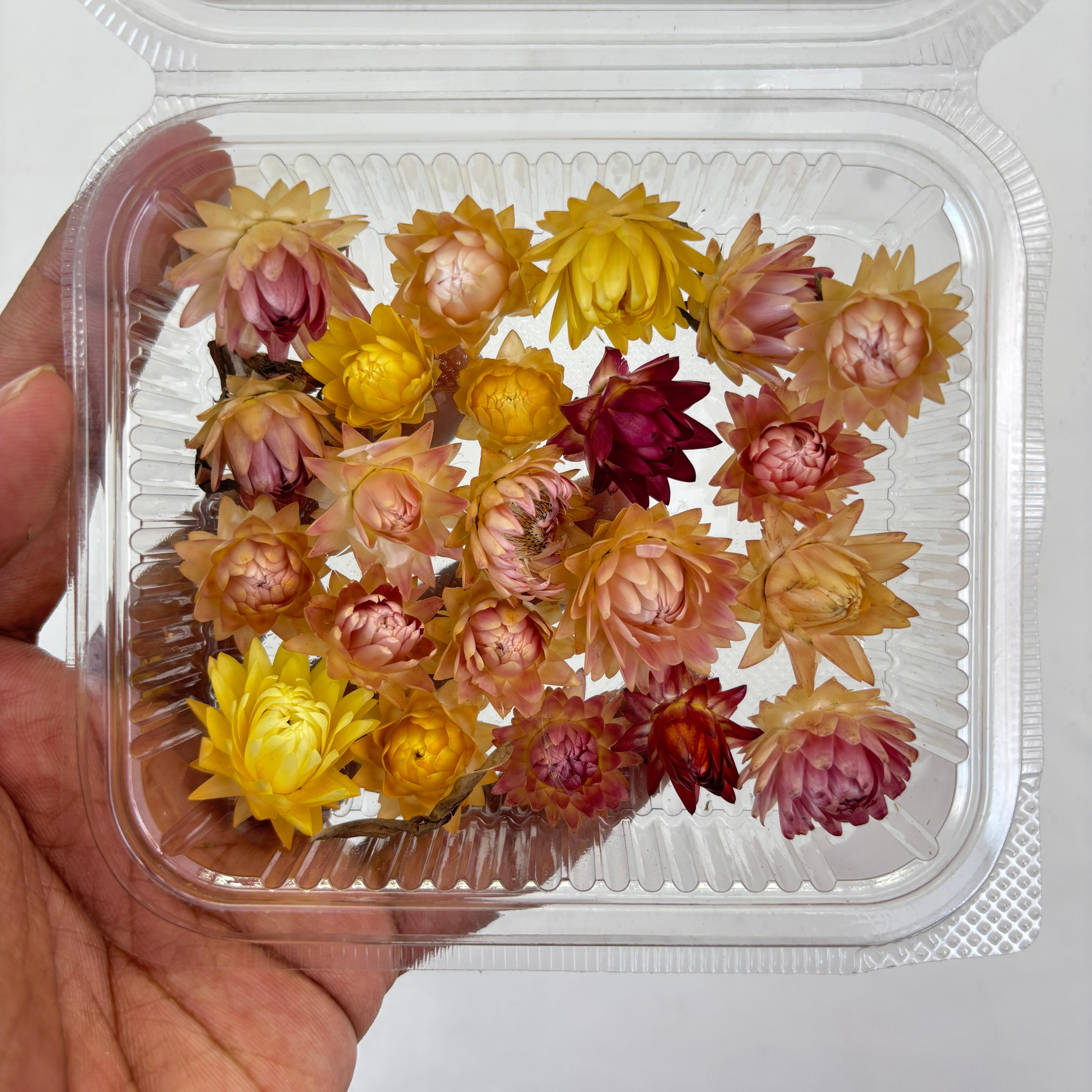 3D Dry Straw Flower box - Buds