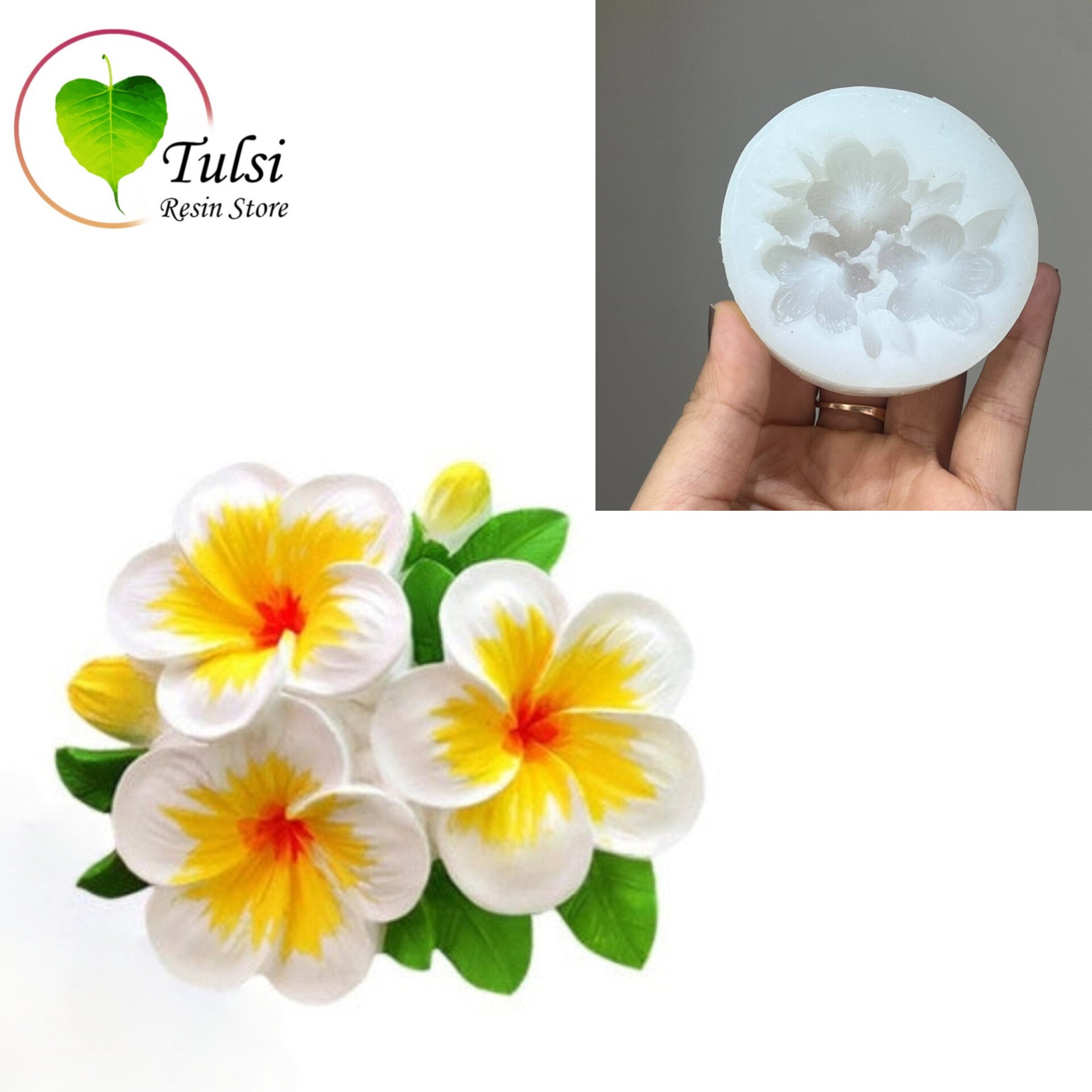 Flower Mould (A12) - Plumeria (HM)