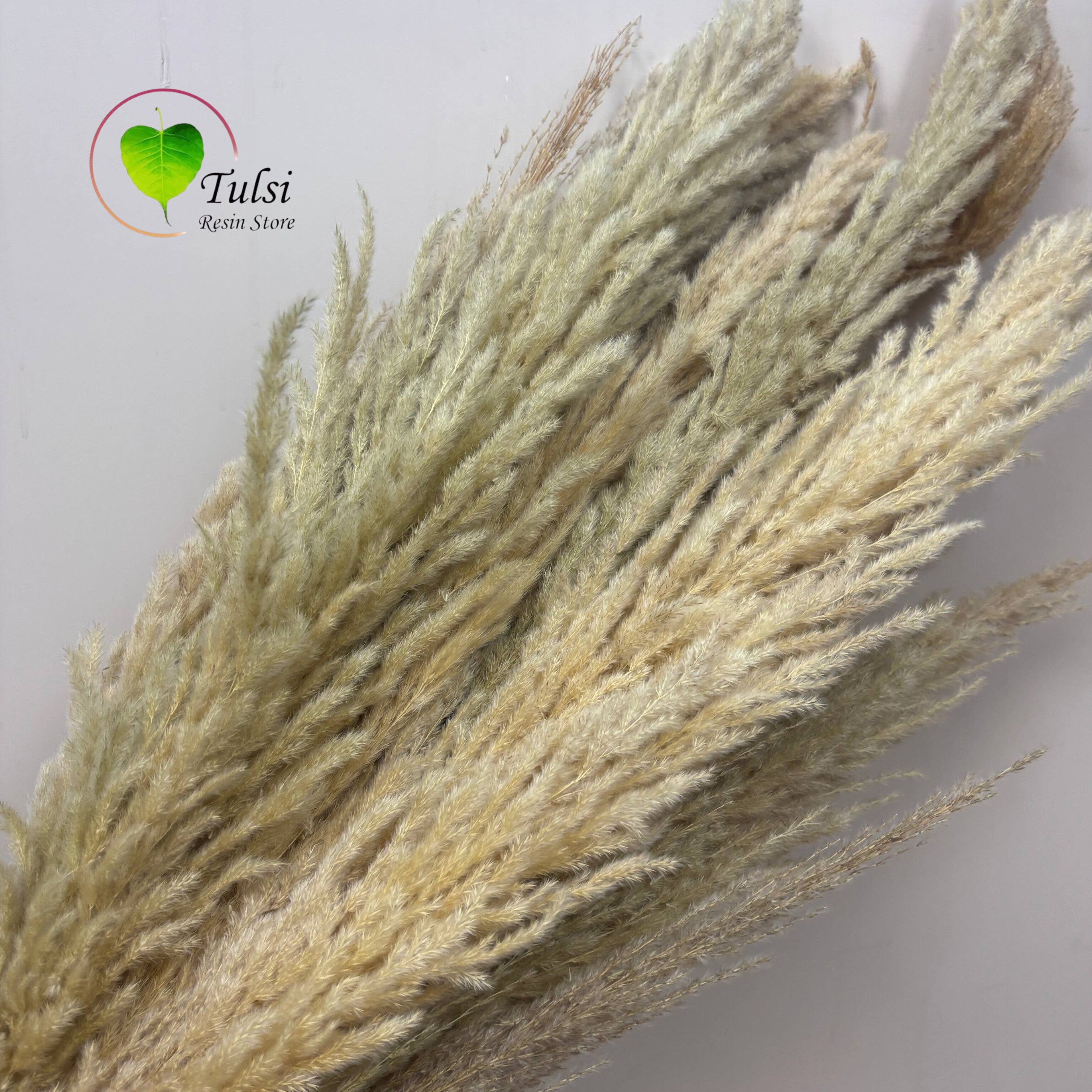 White Pampas Feather Stick (2 Pcs)