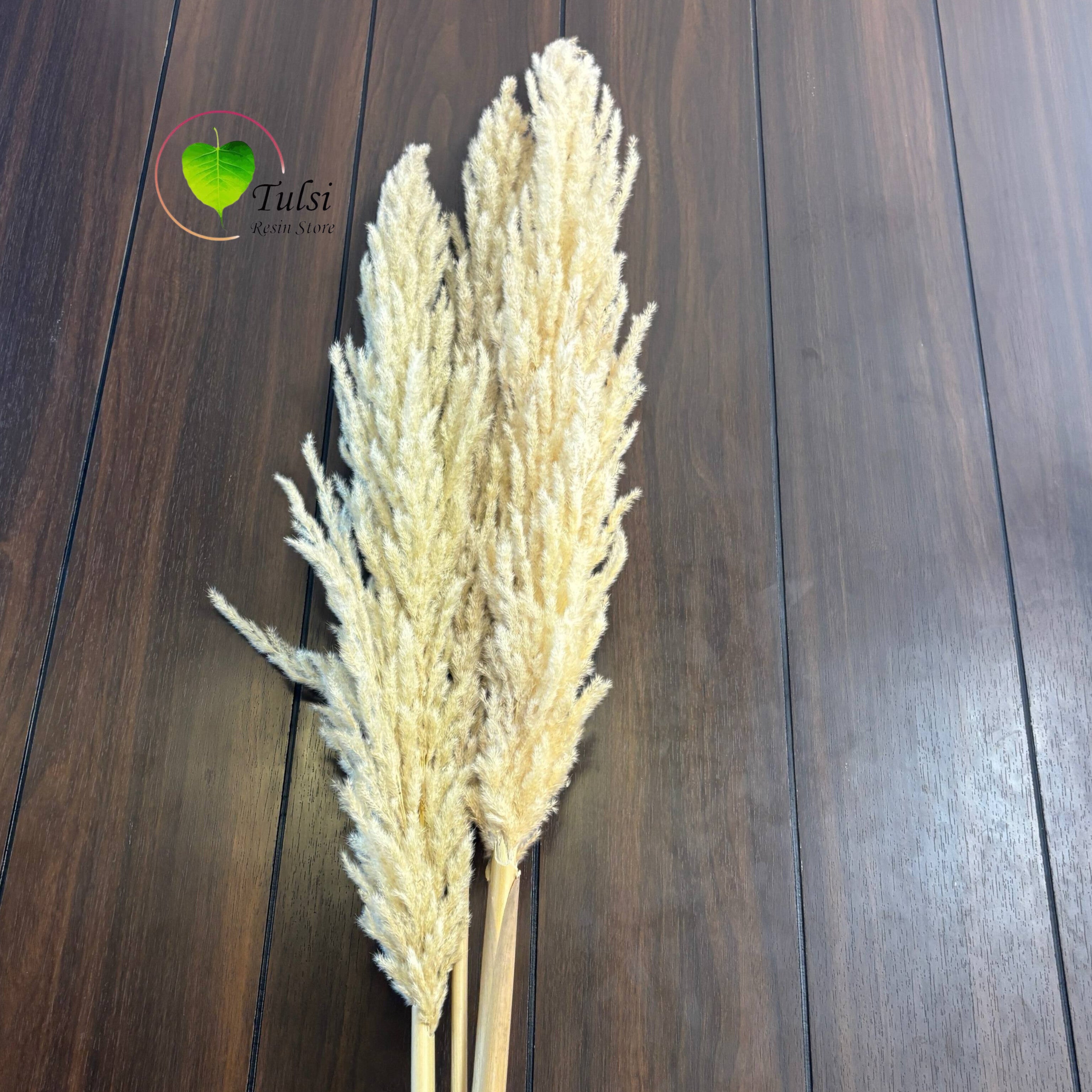 White Pampas Feather Stick (2 Pcs)