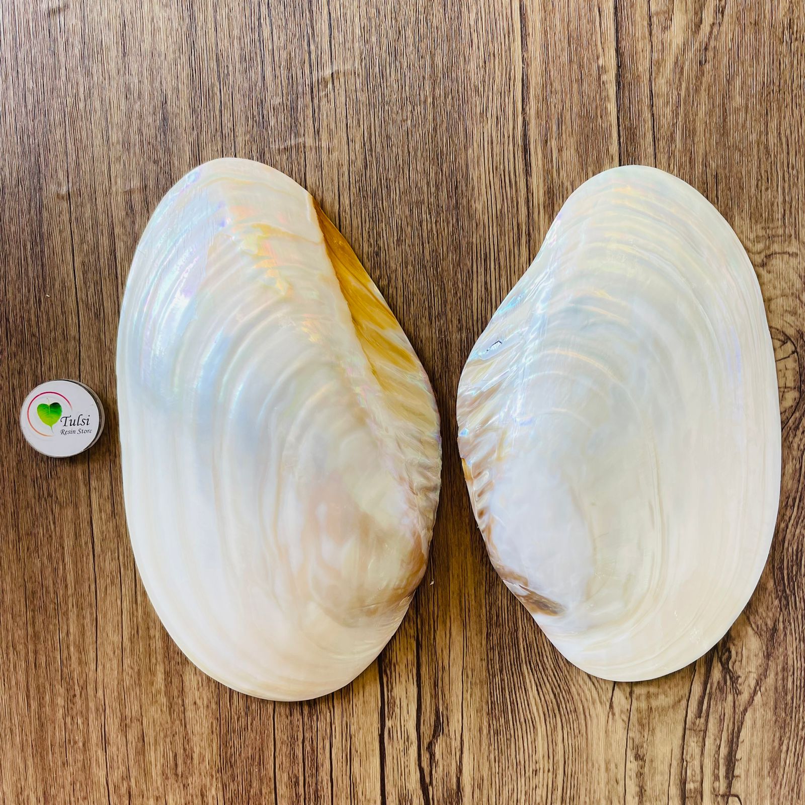 Big White Mother of Pearl (1)