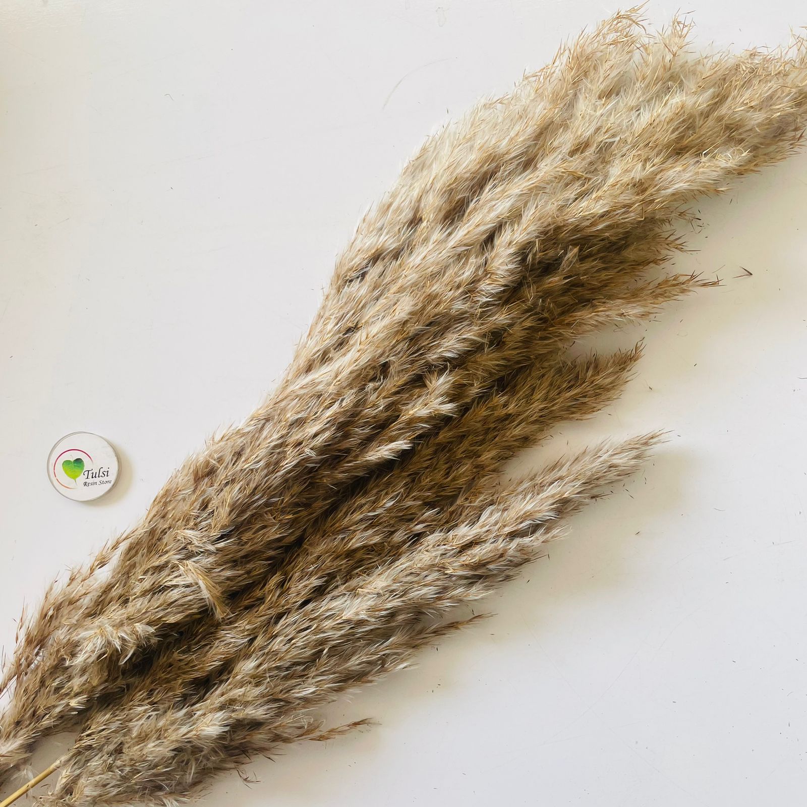 Brown Pampas Feather Stick (2 Pcs)