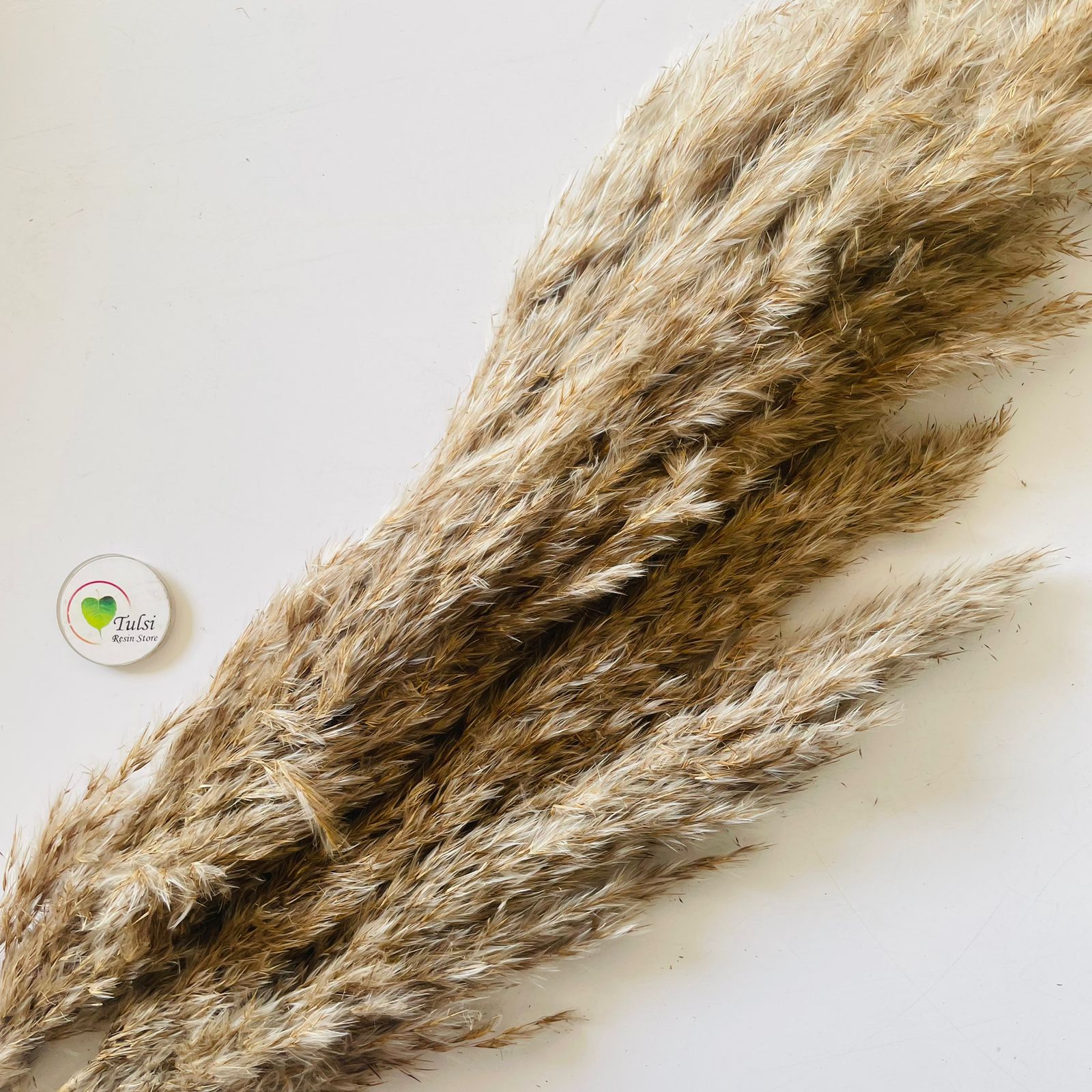 Brown Pampas Feather Stick (2 Pcs)