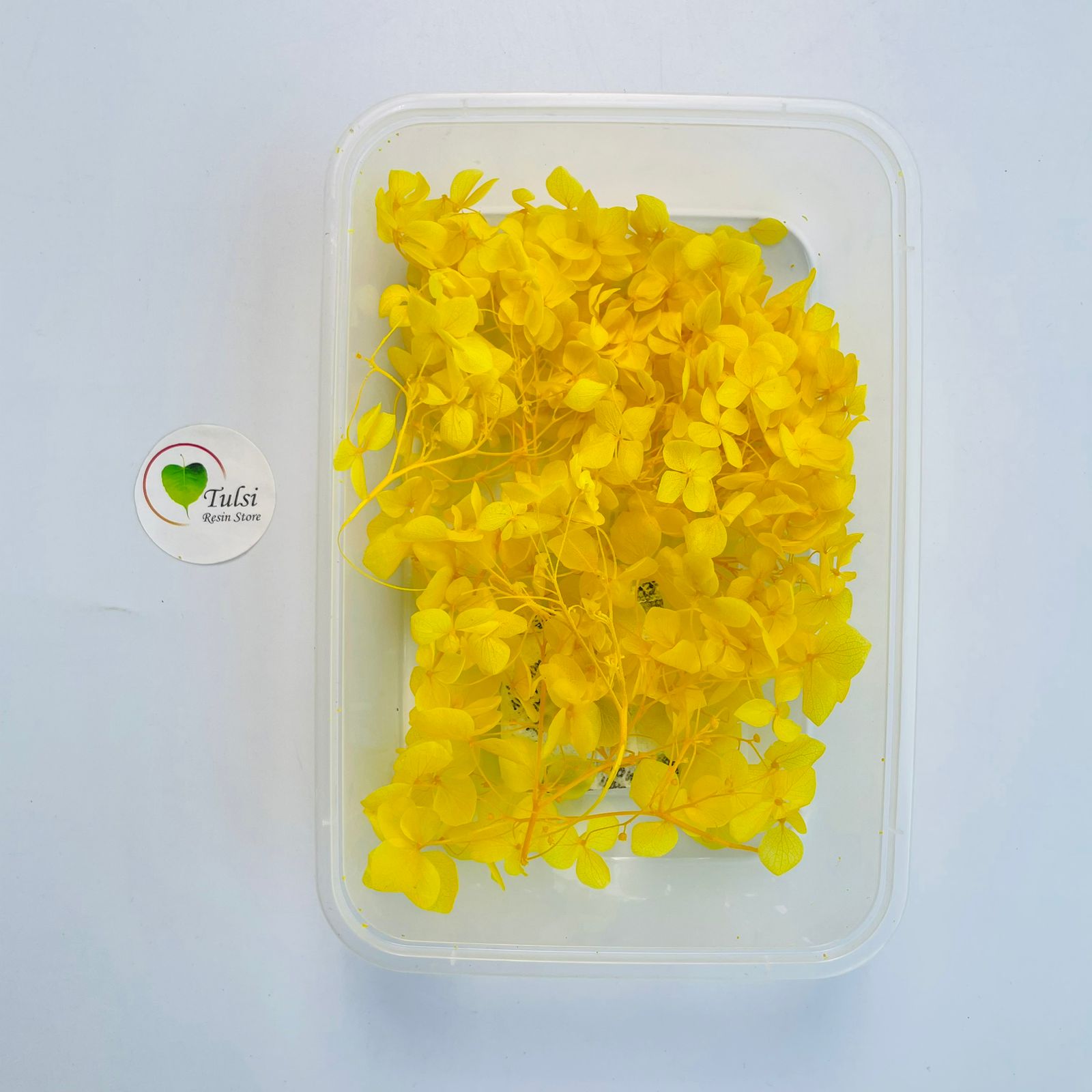 Hydrangea Dry Flower Box - (A)