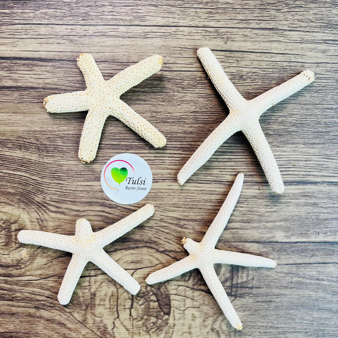 Natural Star Fish - Medium Finger