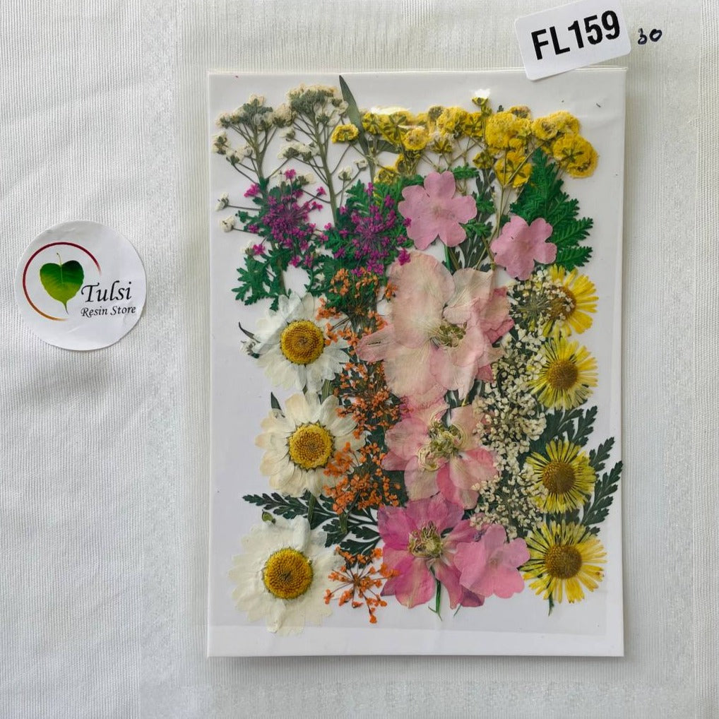 Pressed Flower Sheet MF - 34