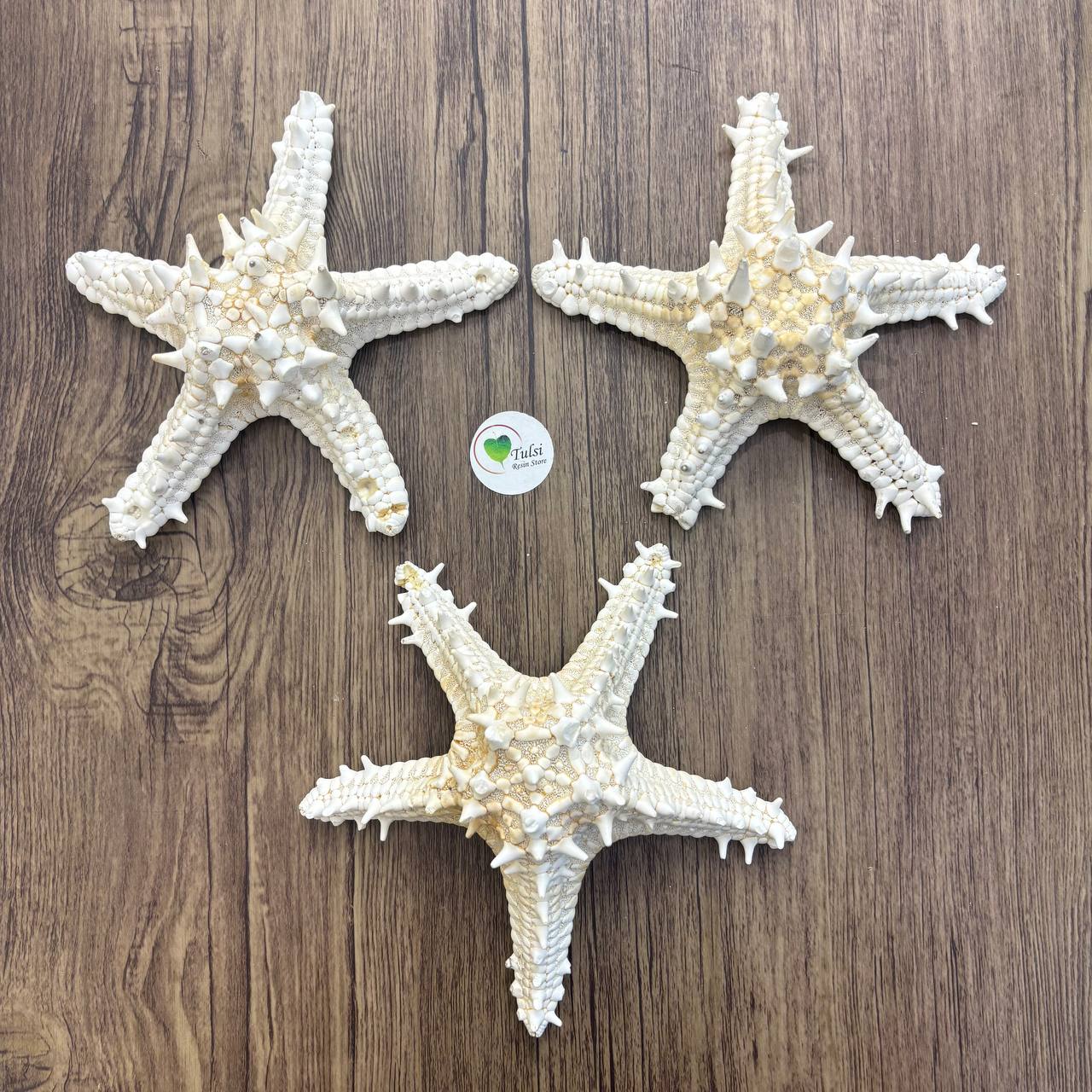 Big Star Fish