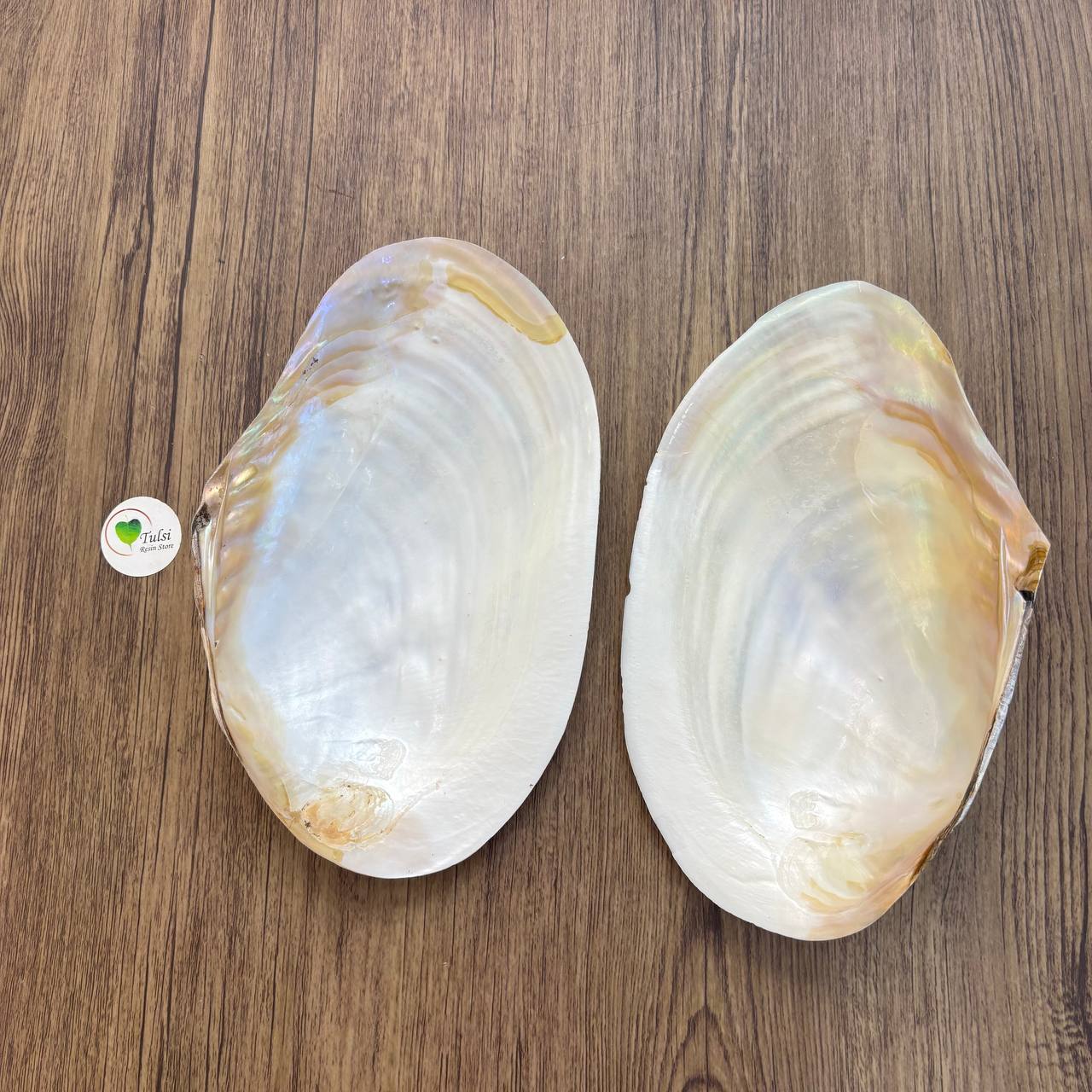 Big White Mother of Pearl (1)