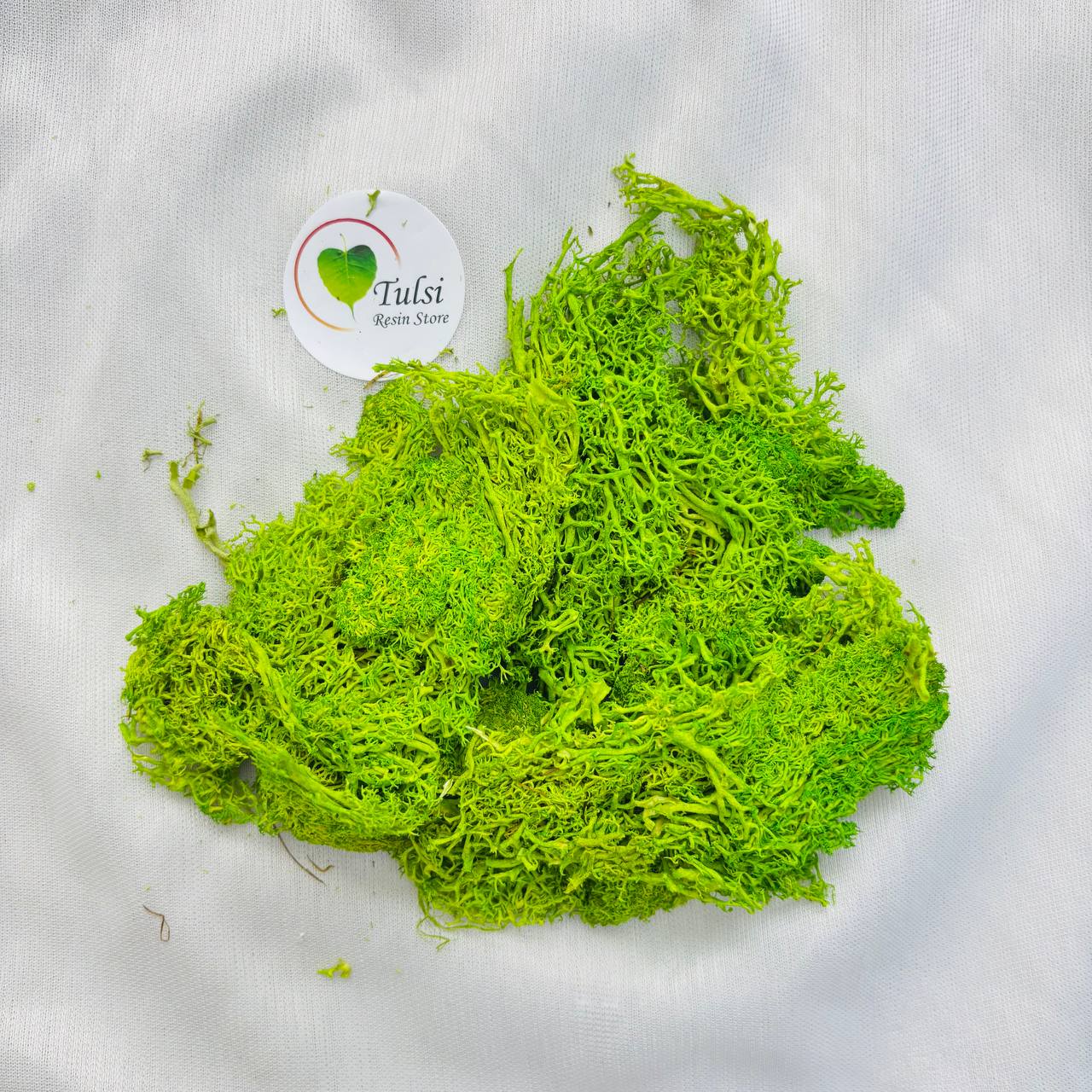 Sea Grass
