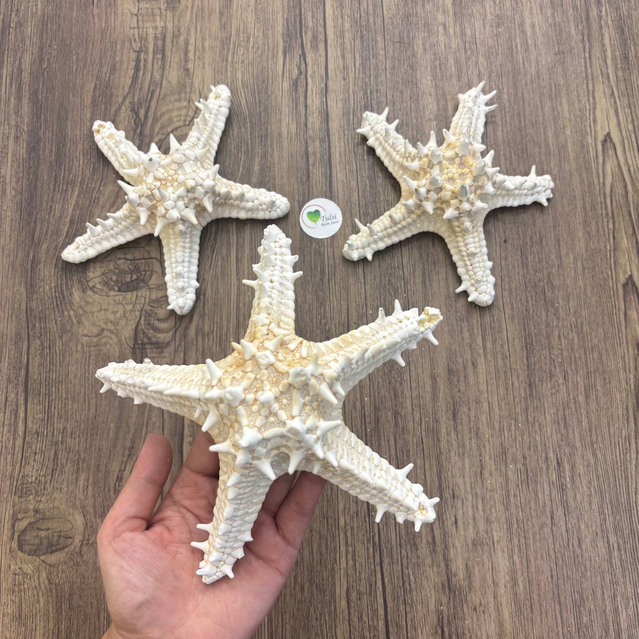 Big Star Fish