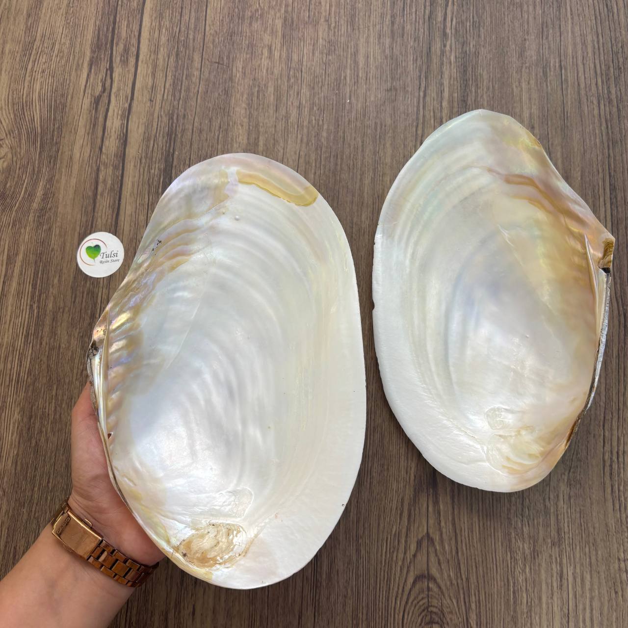 Big White Mother of Pearl (1)