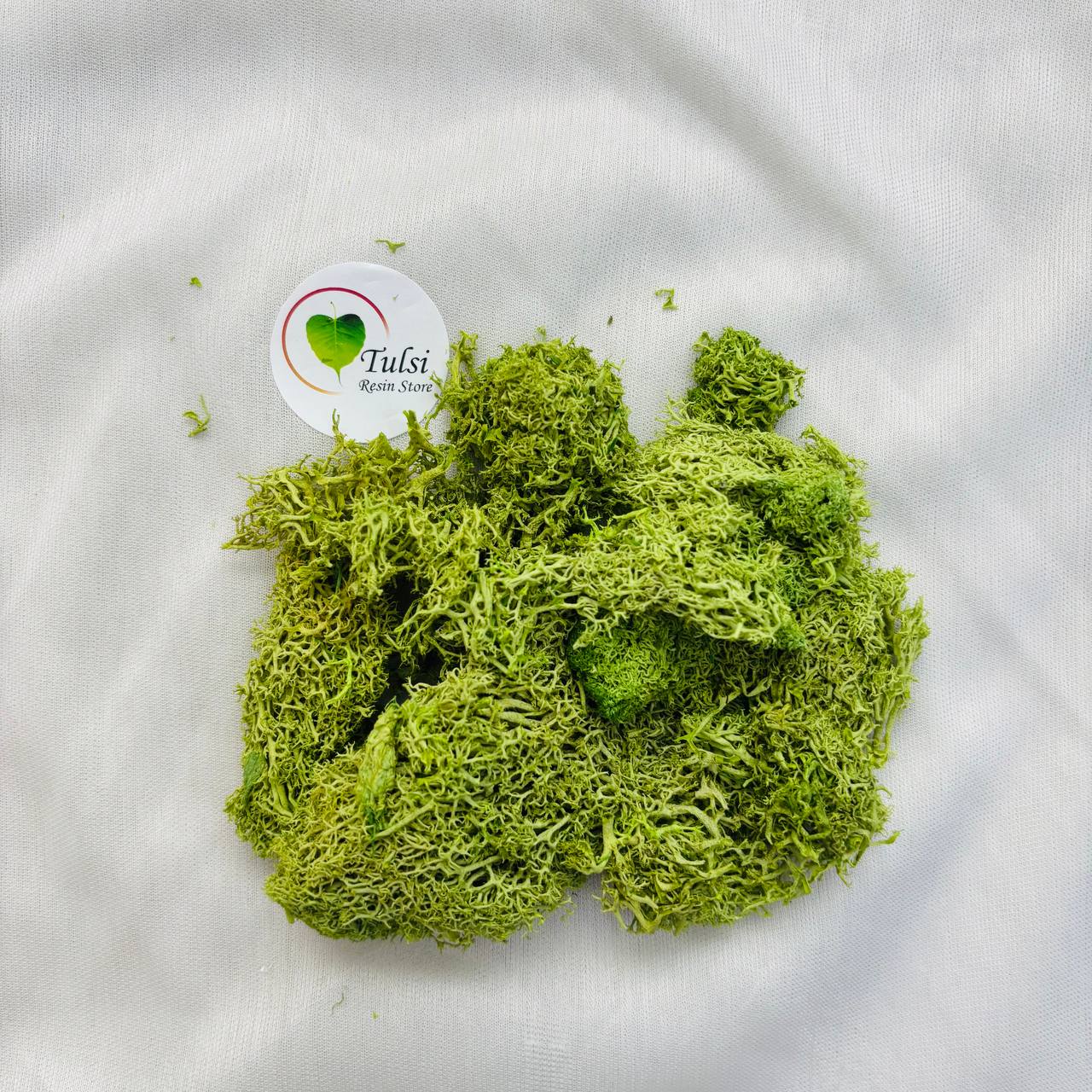 Sea Grass