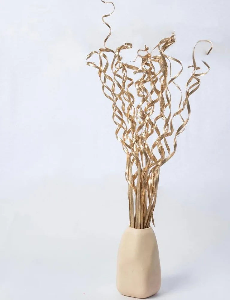 Dried Curly Palm Open Stem (5 Sticks)