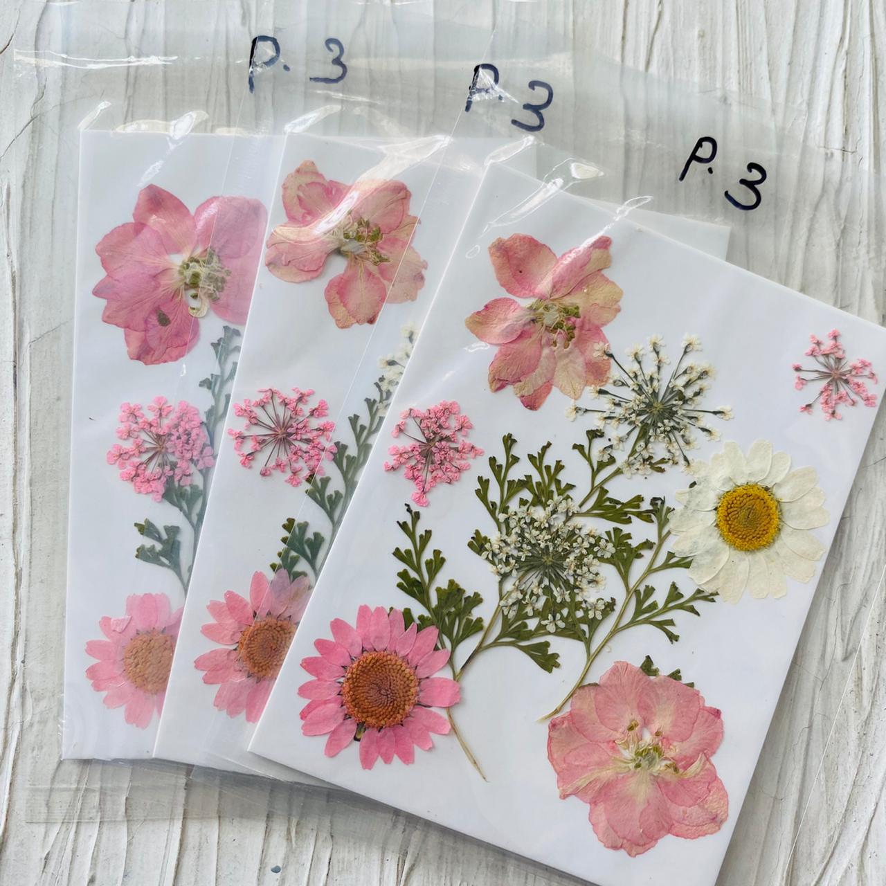 Small Pressed Flower Sheet P3