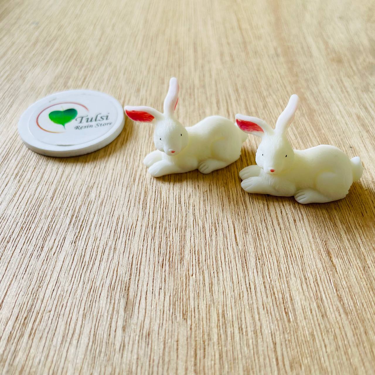 3D Miniature Rabbit (2 pc)