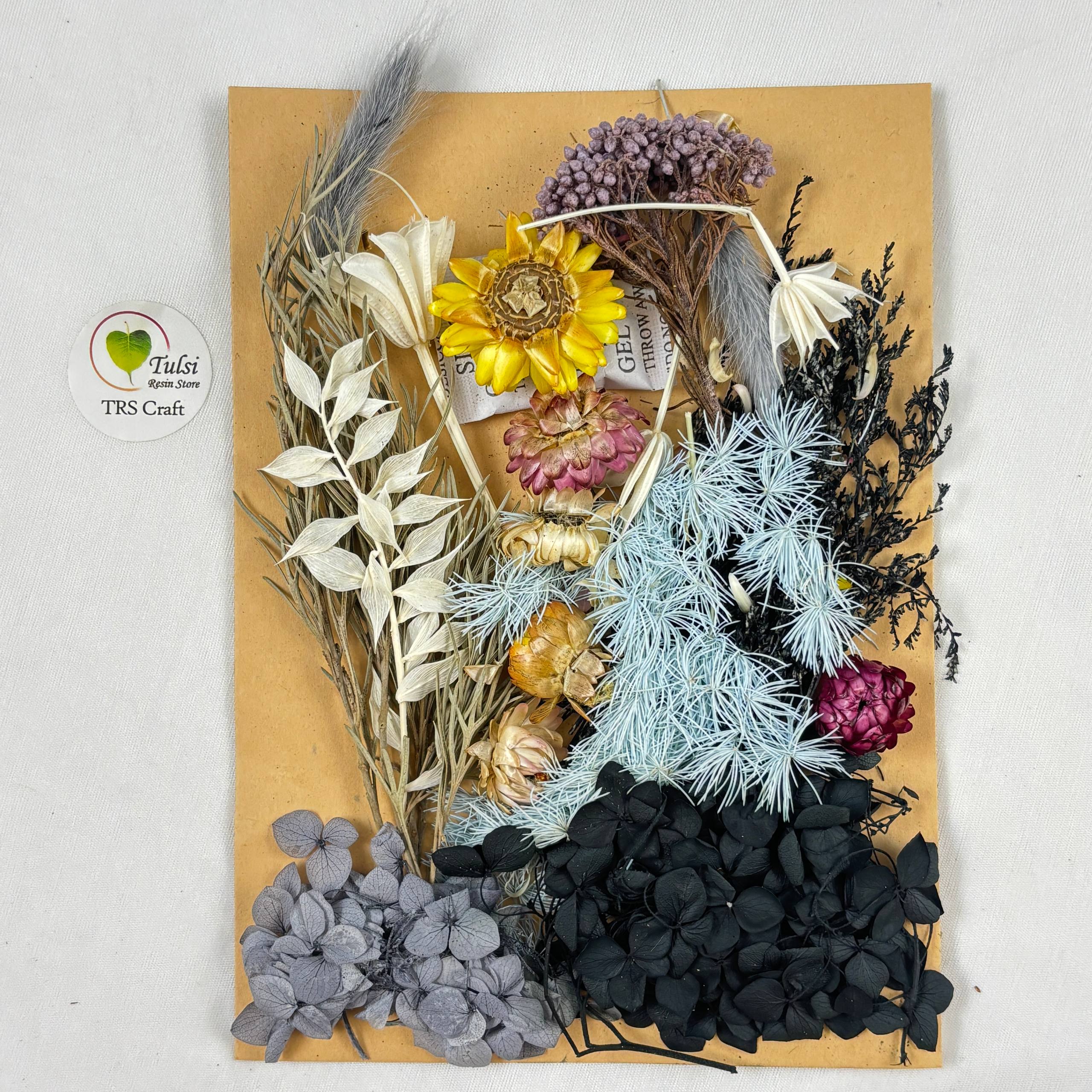 Mix Dry Flower Sheet - A16