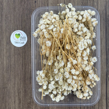 Gypsy Flower Box - (J) - - Tulsi Resin Store