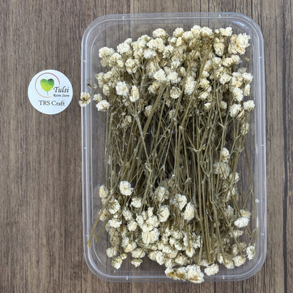 Gypsy Flower Box - (J) - - Tulsi Resin Store