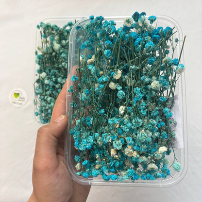 Gypsy Flower Box - (D)