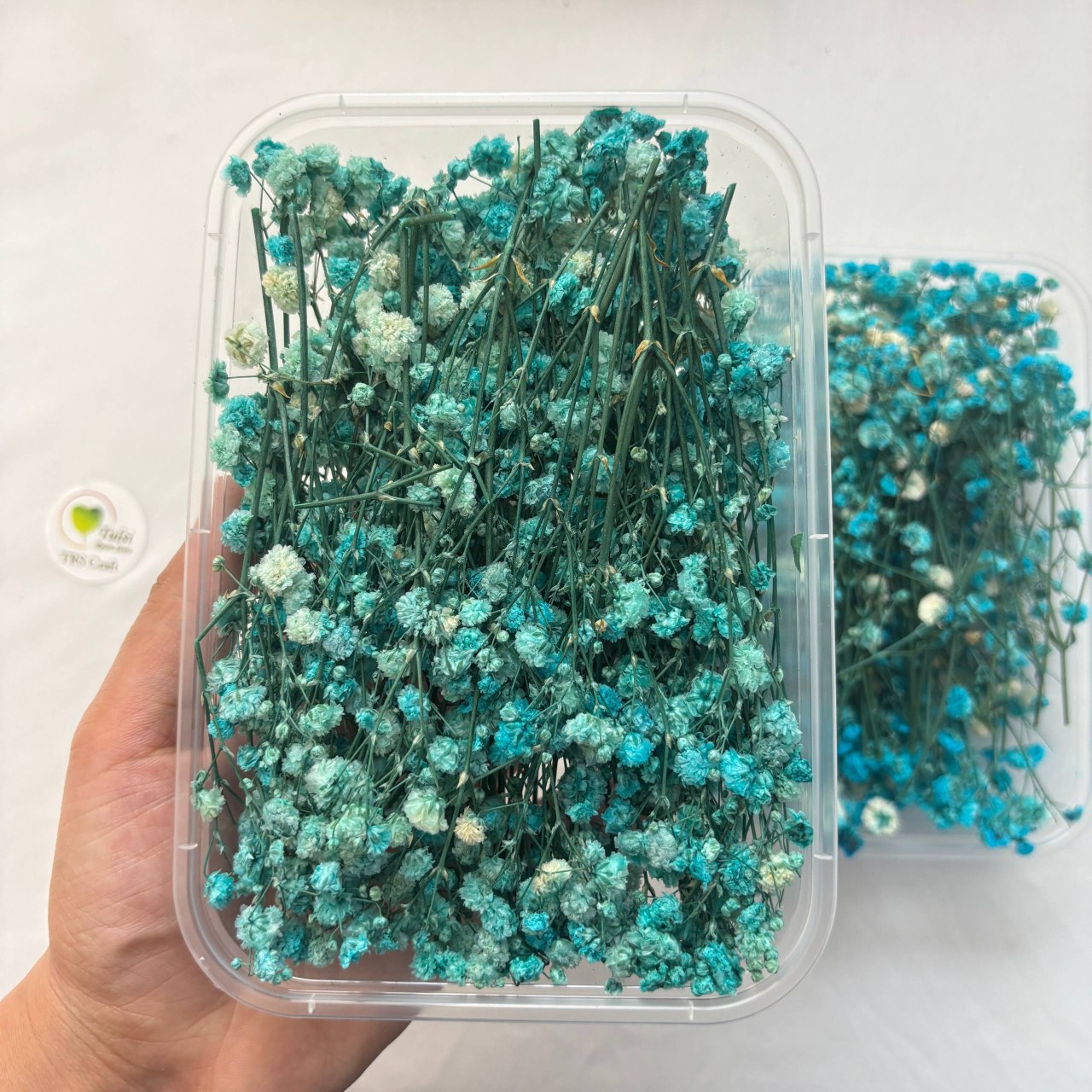 Gypsy Flower Box - (D)