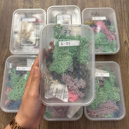 Random Sea Grass Box
