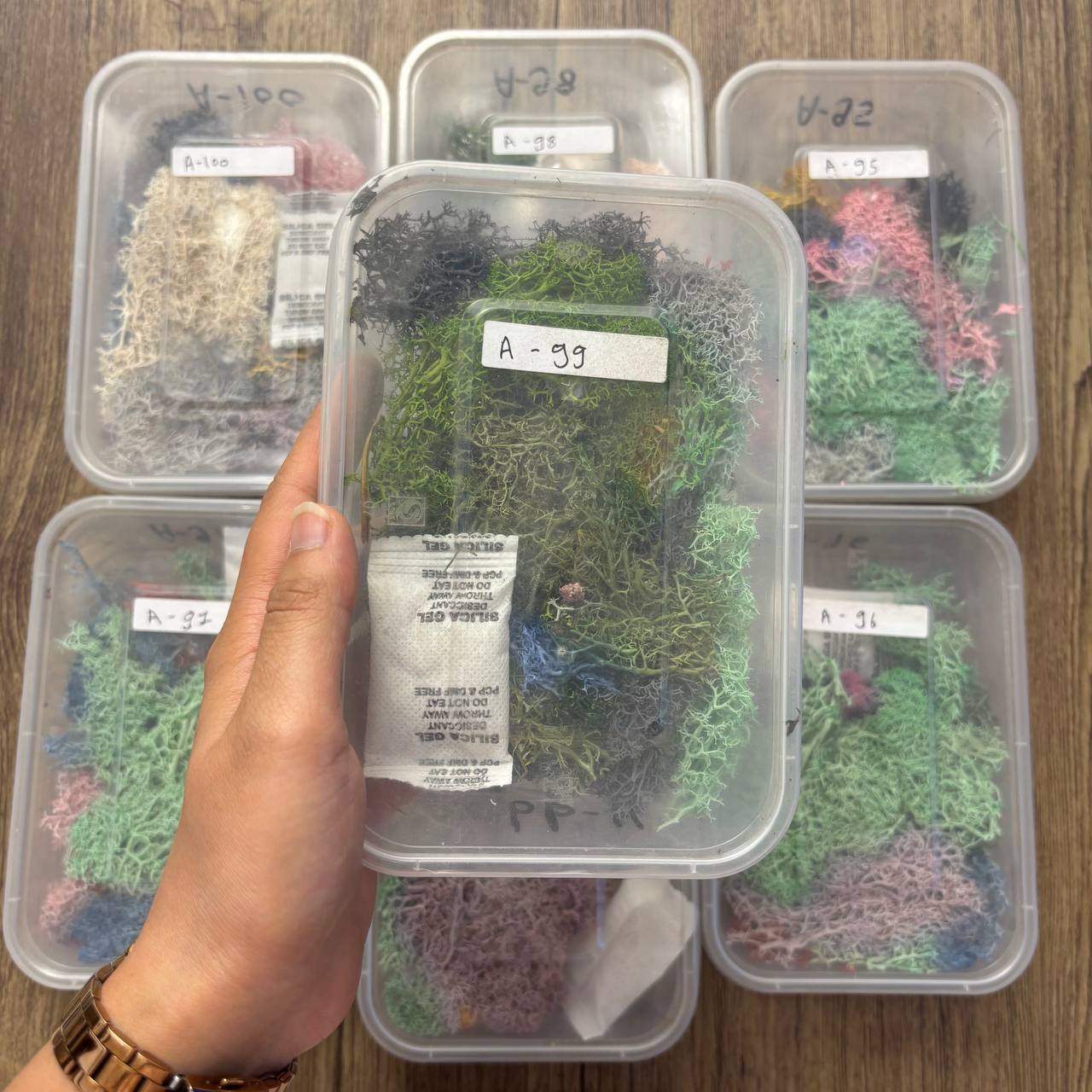 Random Sea Grass Box