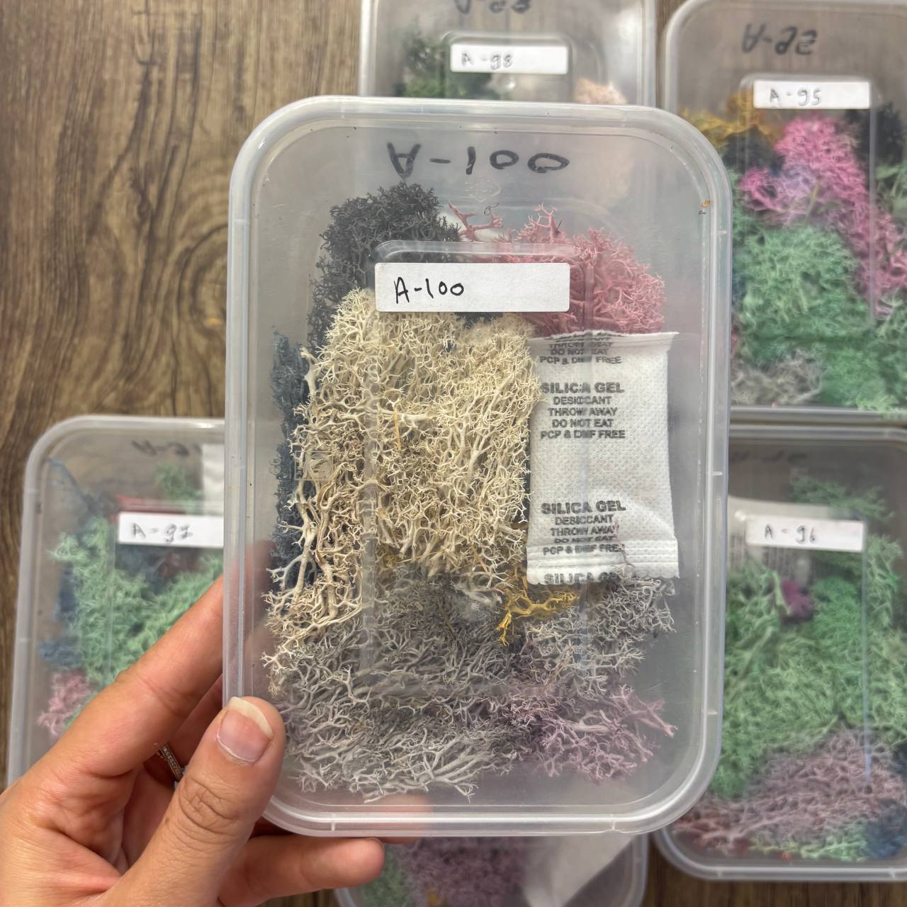 Random Sea Grass Box