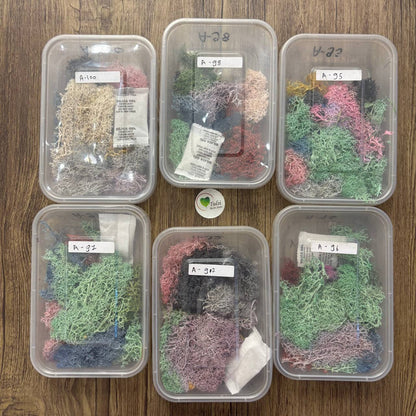 Random Sea Grass Box